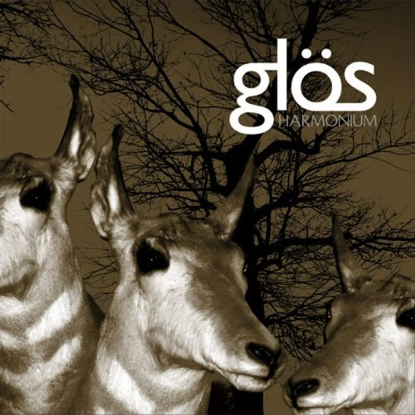 Glos HARMONIUM CD