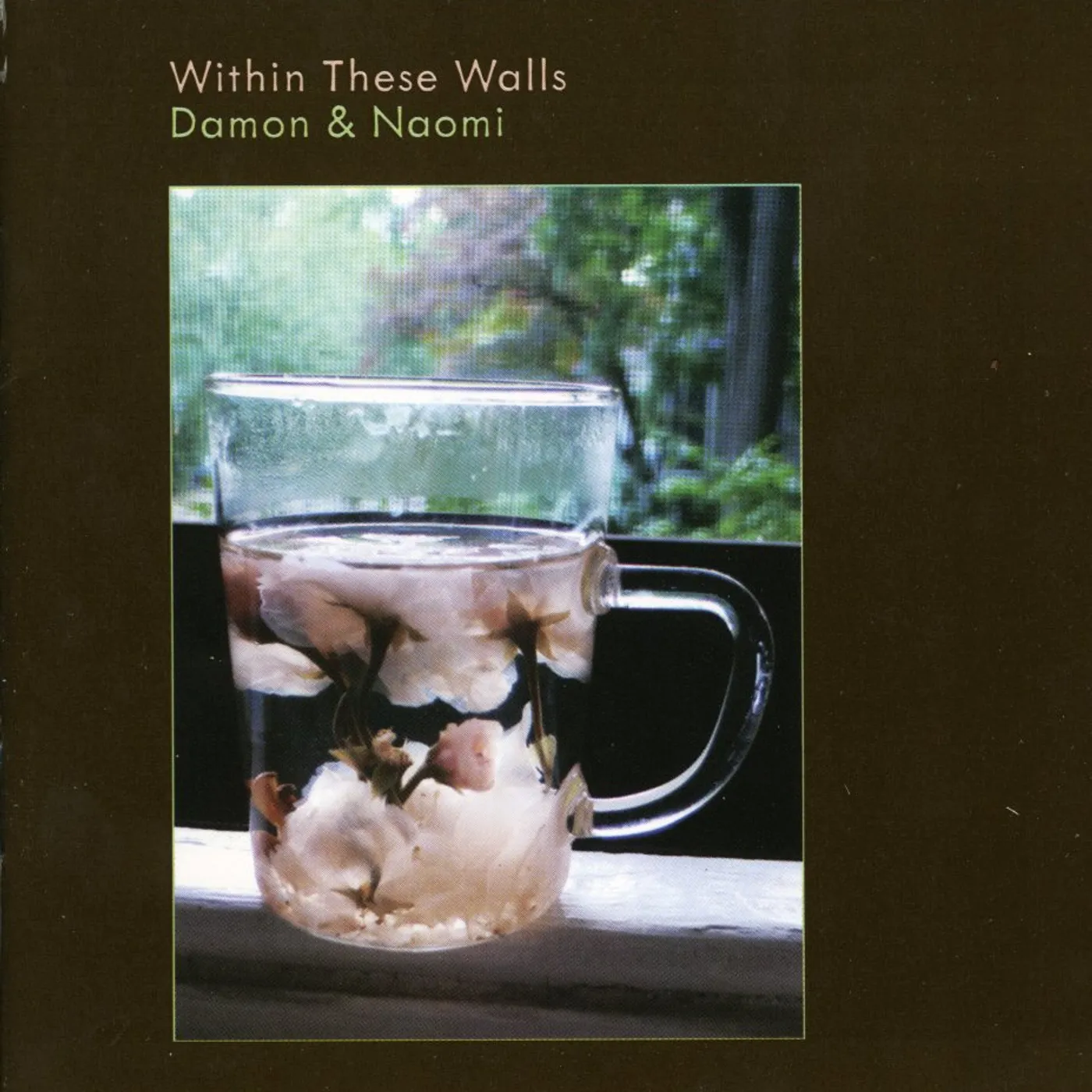 Damon & Naomi WITHIN THESE WALLS CD