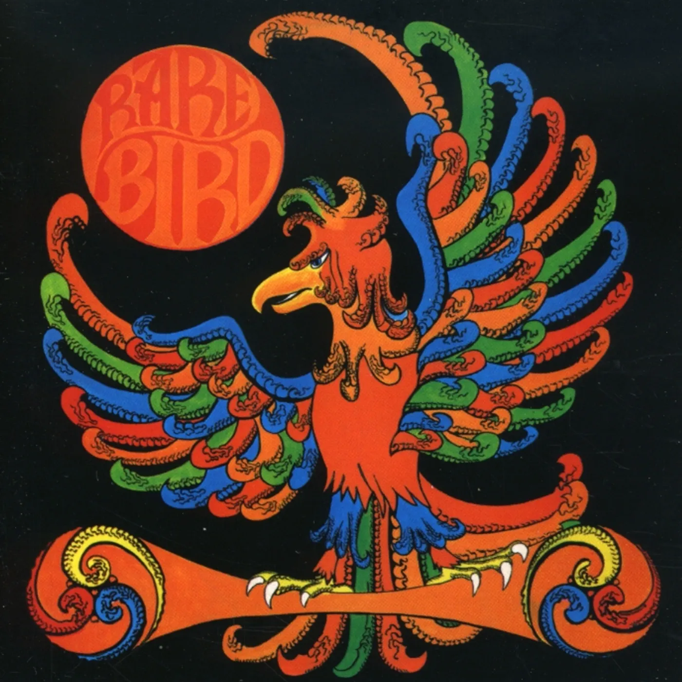 RARE BIRD CD