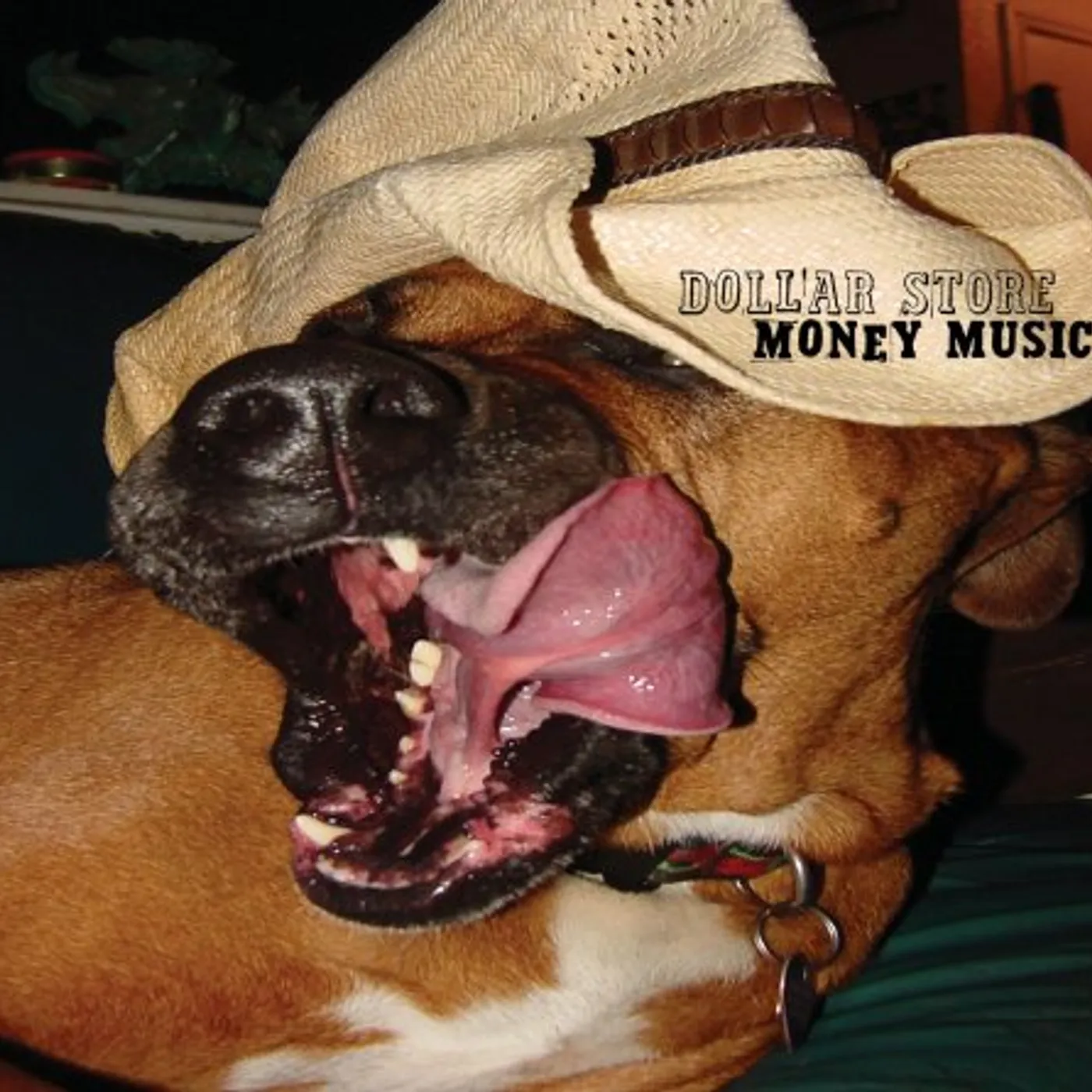 Dollar Store MONEY MUSIC CD