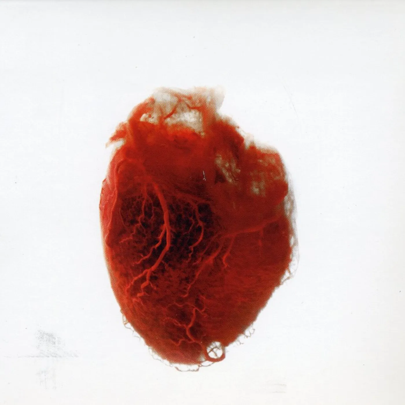 Akron/Family LOVE IS SIMPLE CD