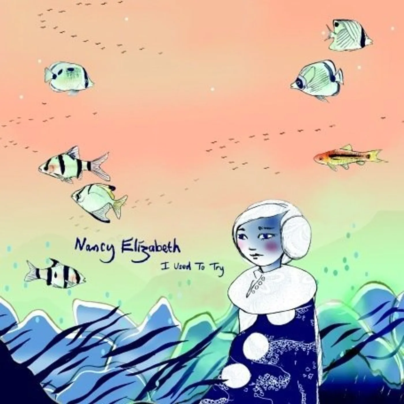 Nancy Elizabeth I Used To Try Vinyl Record