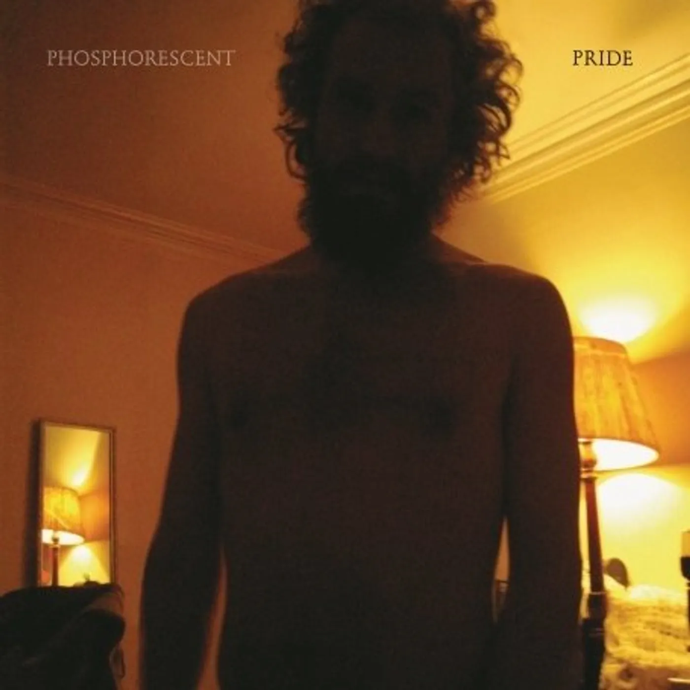 Phosphorescent PRIDE Vinyl Record
