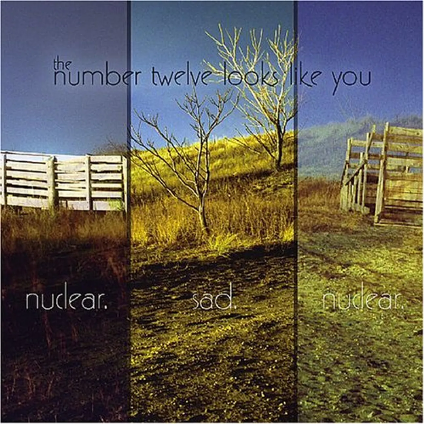 The Number Twelve Looks Like You NUCLEAR SAD NUCLEAR Vinyl Record
