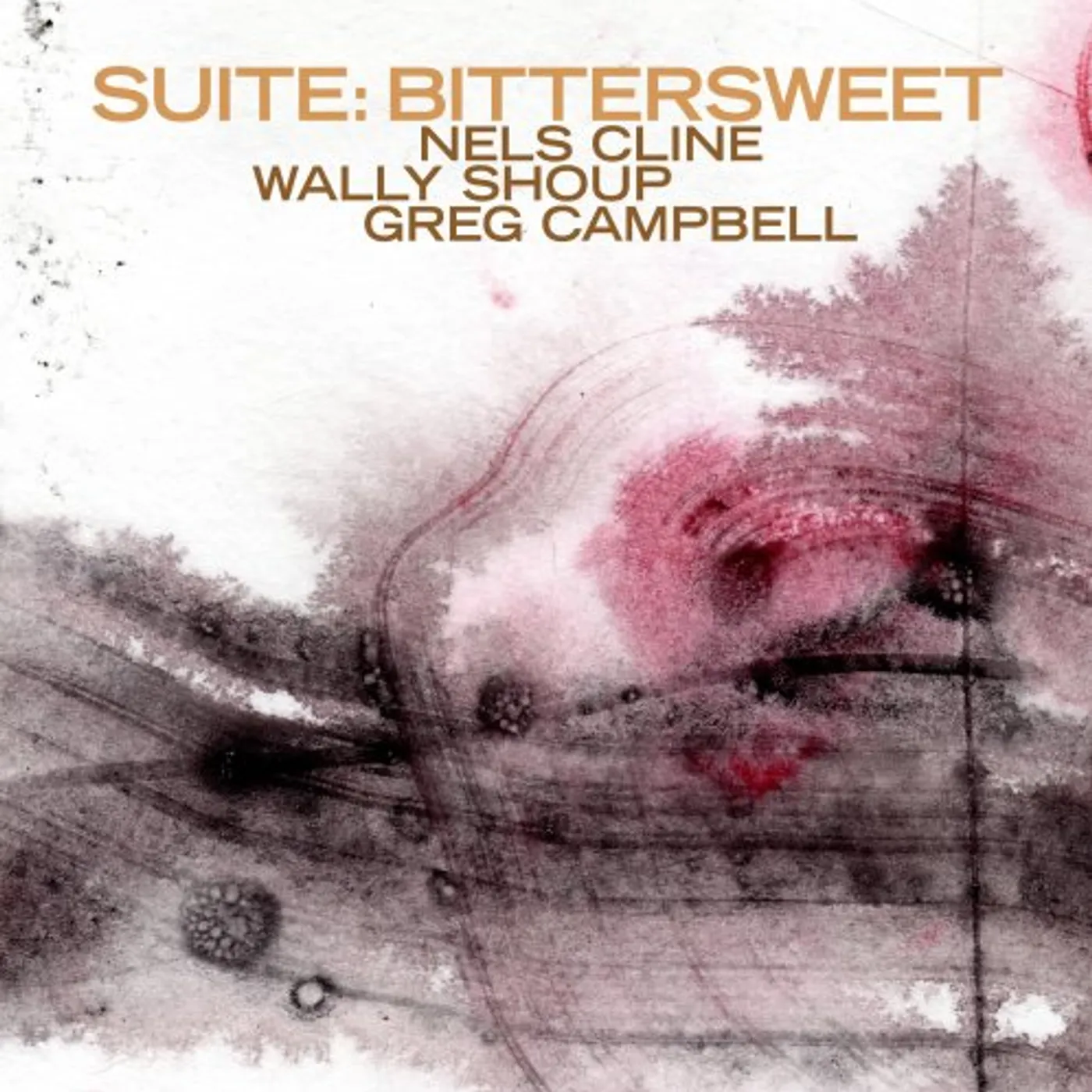 Nels Cline/Wally Shoup/Greg Campbell SUITE: BITTERSWEET Vinyl Record