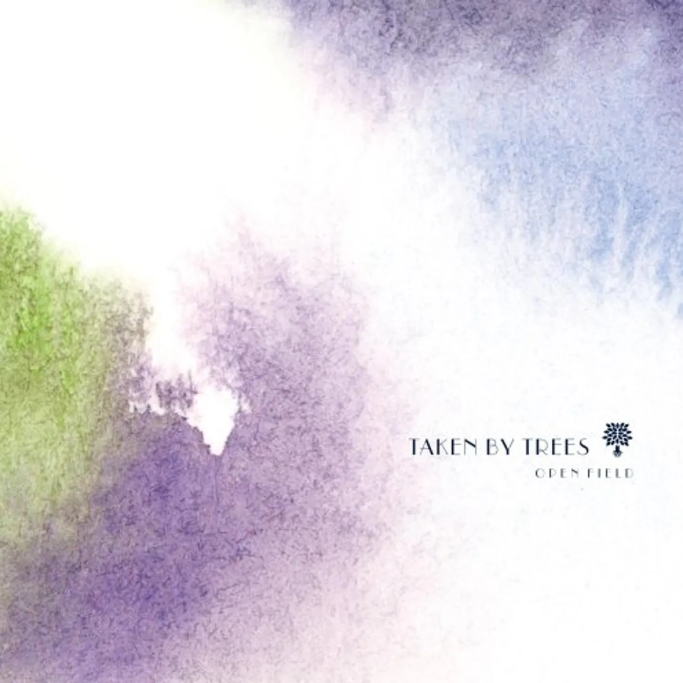 Taken By Trees OPEN FIELD CD