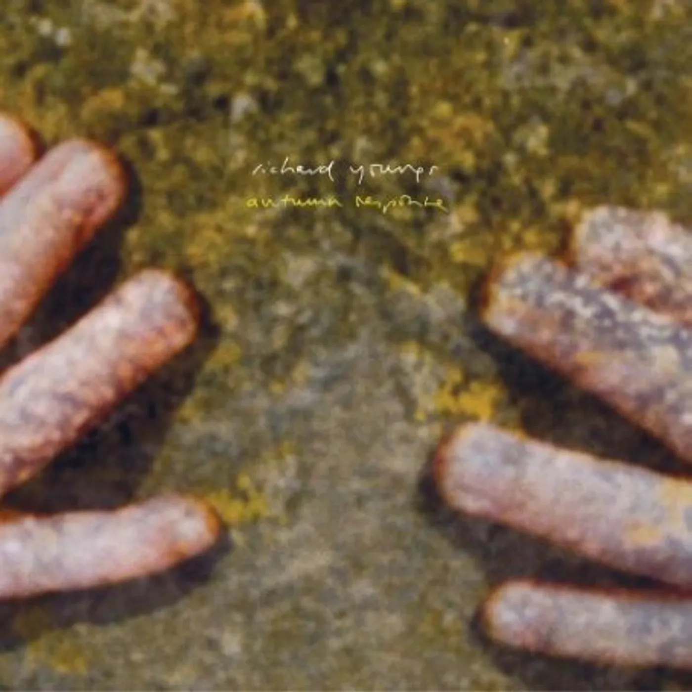 Richard Youngs Autumn Response Vinyl Record