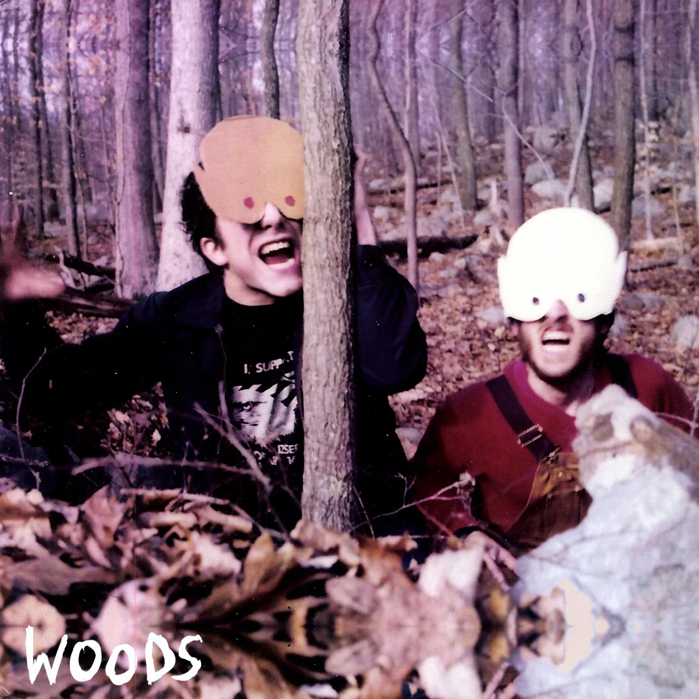 HOW TO SURVIVE IN / IN THE WOODS Vinyl Record