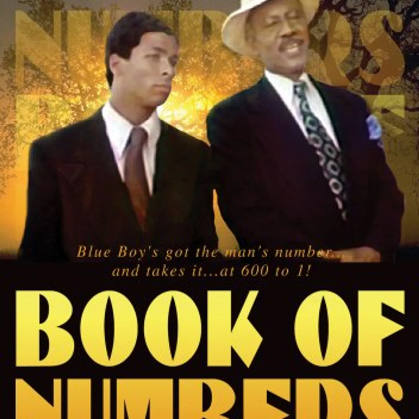 BOOK OF NUMBERS DVD
