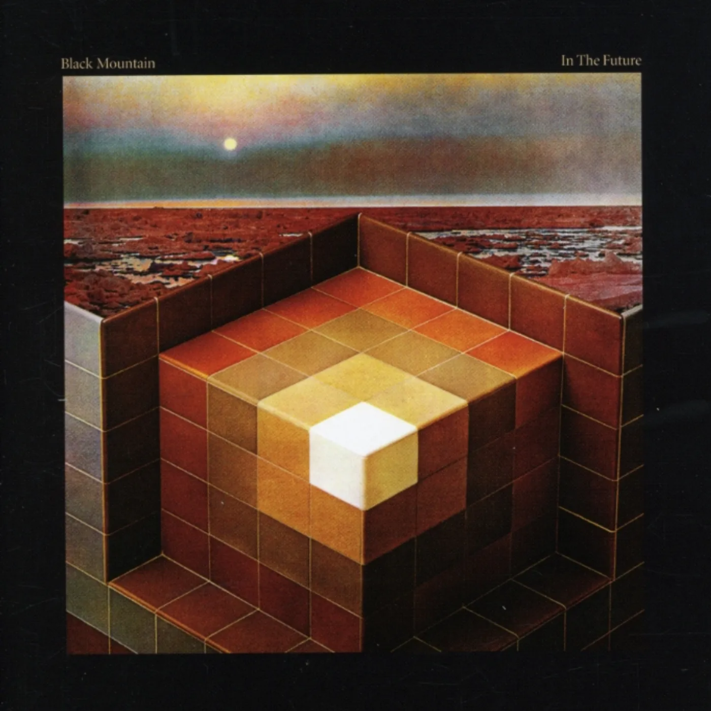 Black Mountain IN THE FUTURE CD