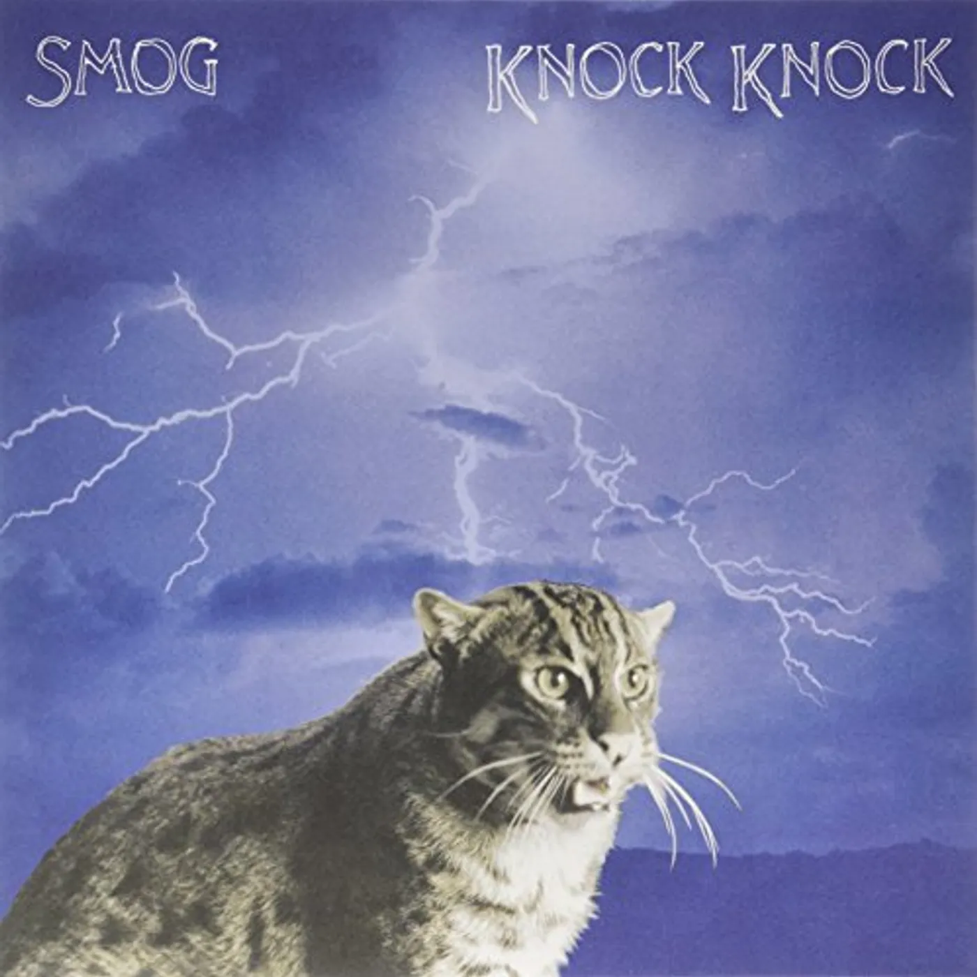 Smog Knock Knock Vinyl Record