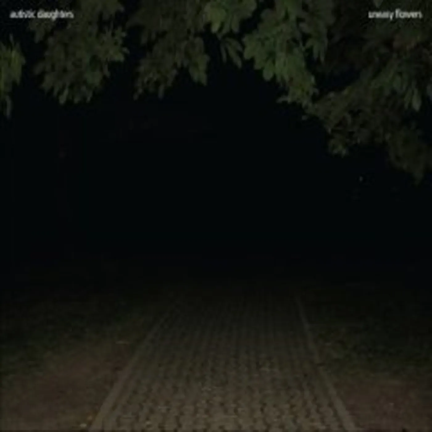 Autistic Daughters UNEASY FLOWERS CD