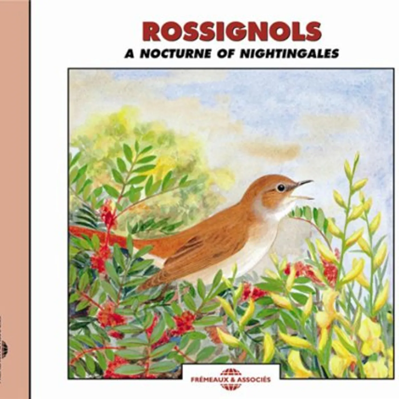 Sounds Of Nature NOCTURNE OF NIGHTINGALES CD