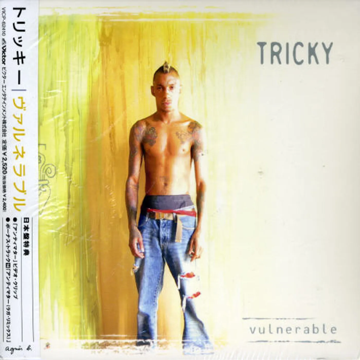 Tricky VULNERABLE CD