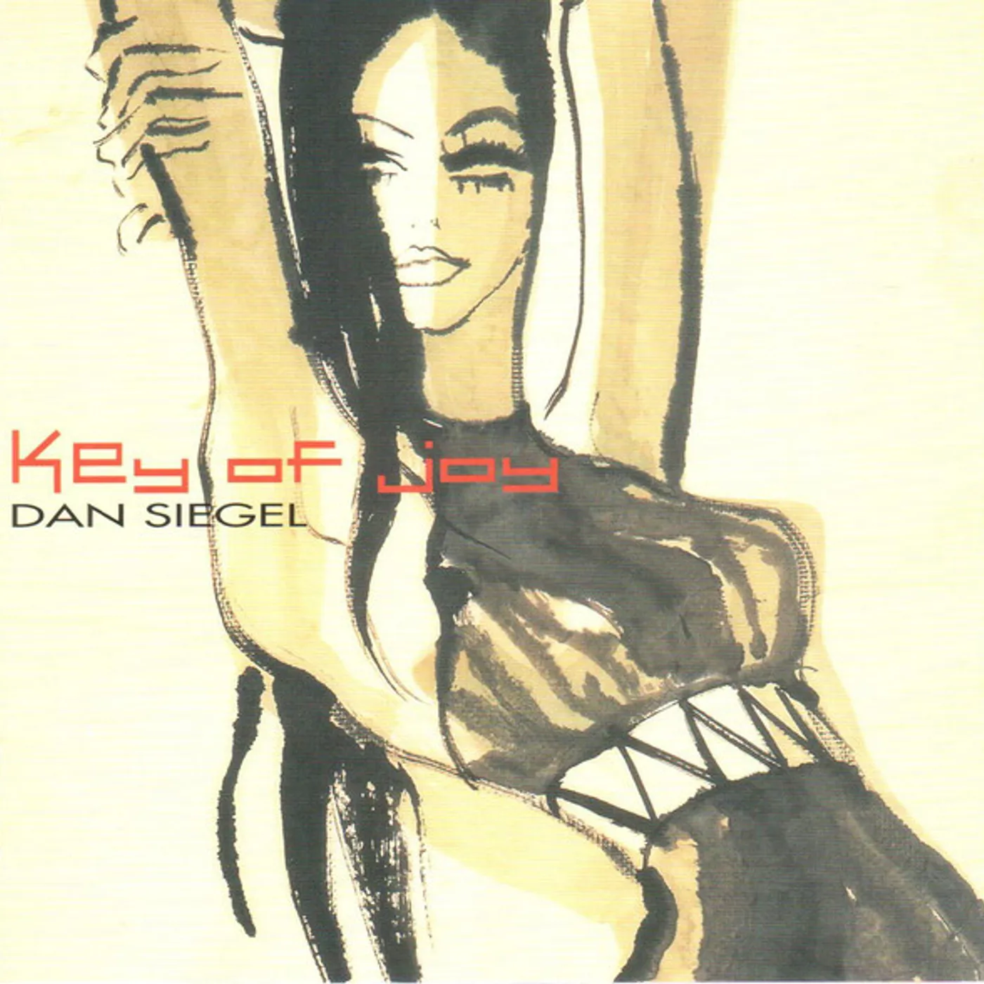 Dan Siegel KEY OF JOY CD