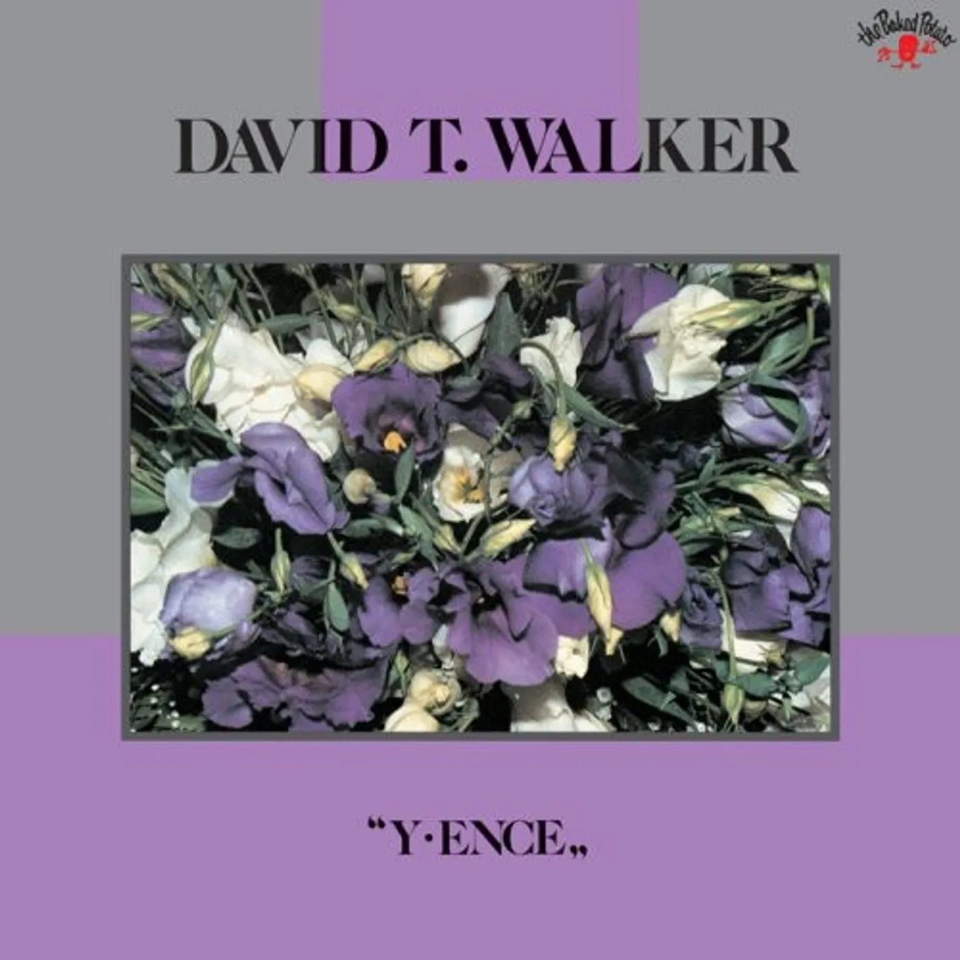 David T. Walker Y-ENCE CD