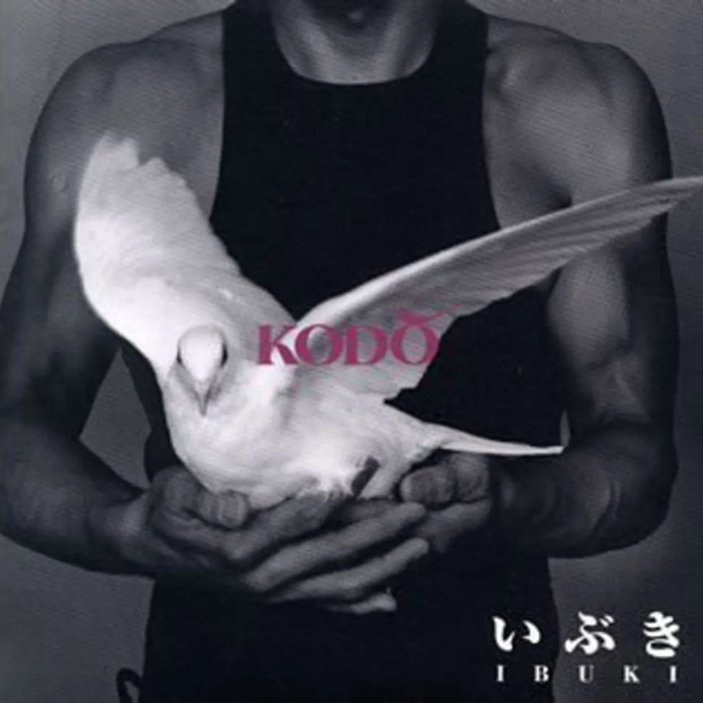 Kodo! IBUKI CD
