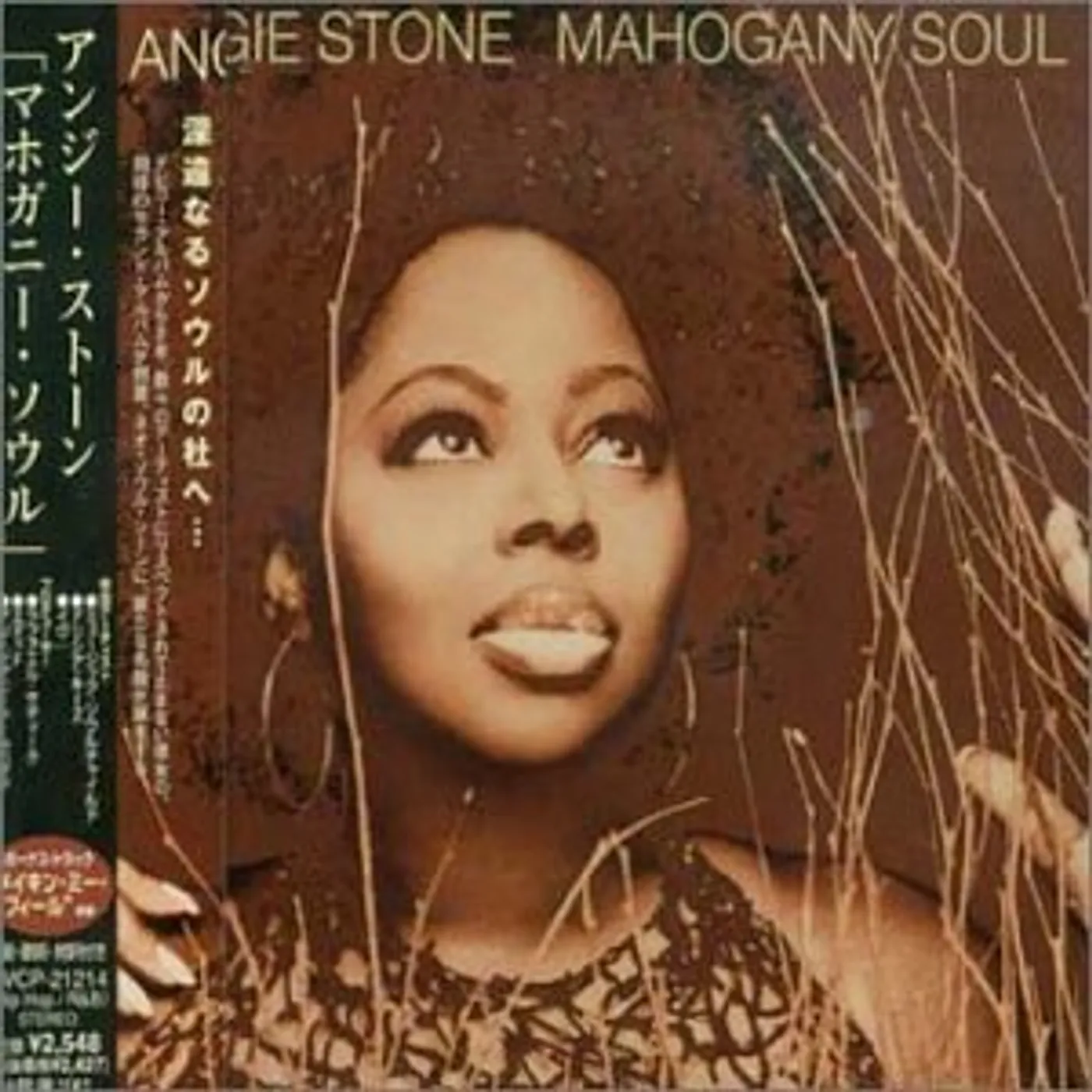 Angie Stone - Mahogany Soul アナログレコード送料込み Angie Stone - Mahogany Soul アナログレコード送料込みお 手
