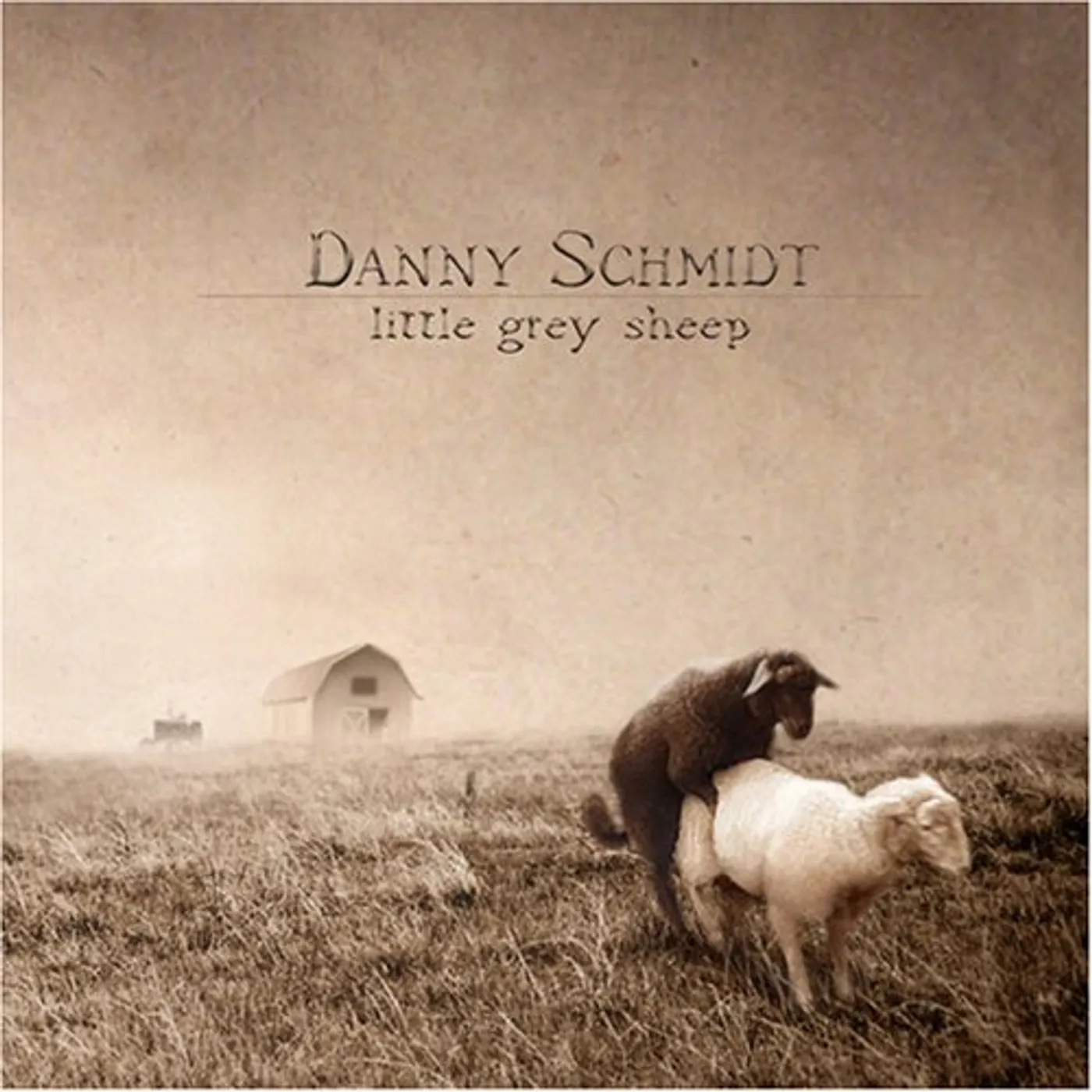 Danny Schmidt LITTLE GREY SHEEP CD