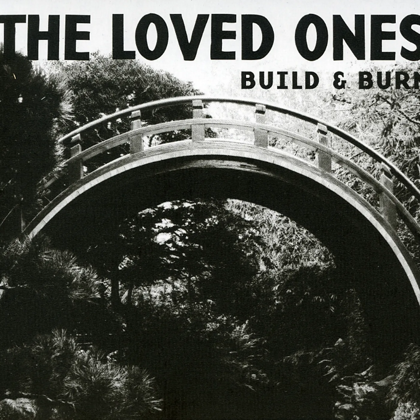 Loved Ones BUILD & BURN CD