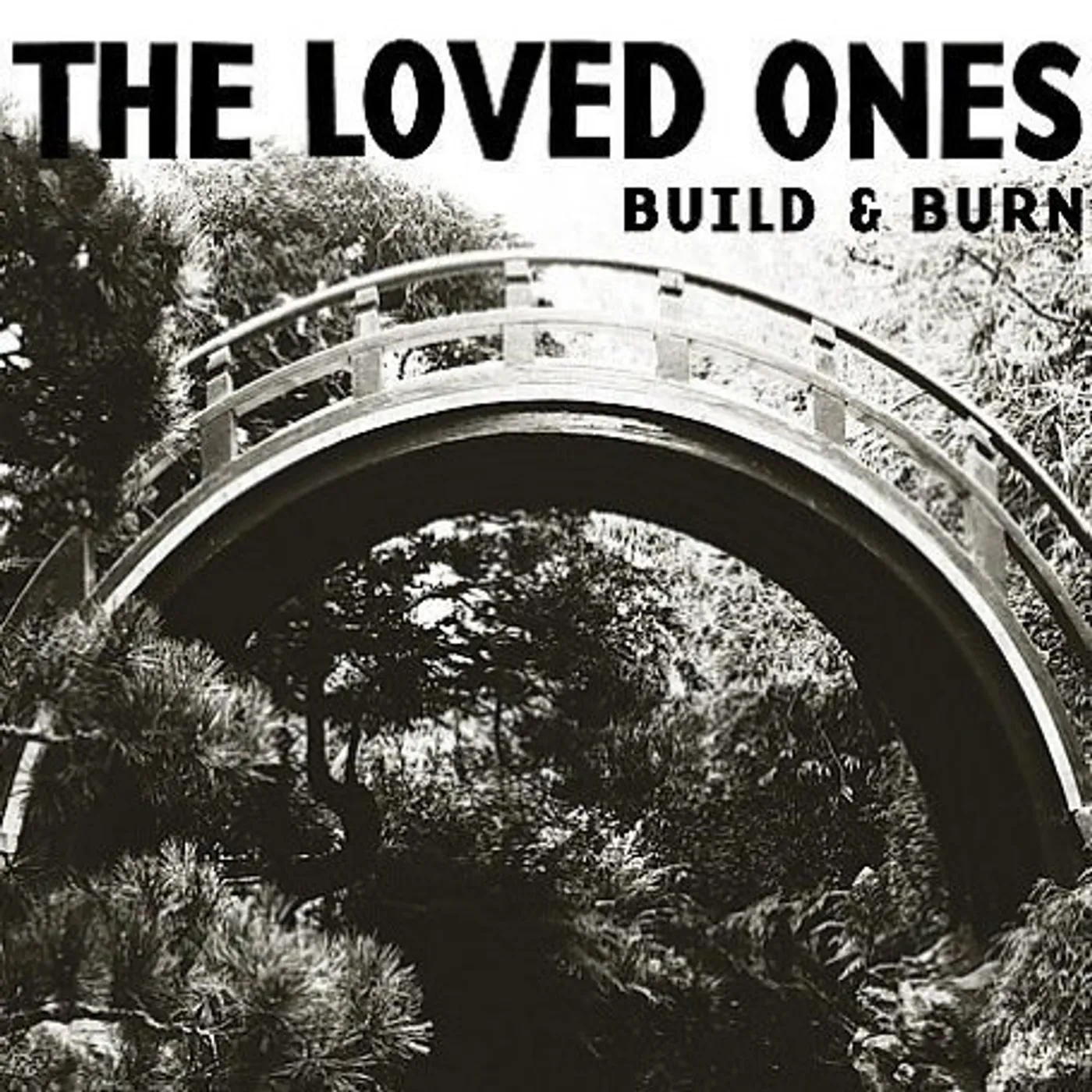 Loved Ones Build & Burn Vinyl Record