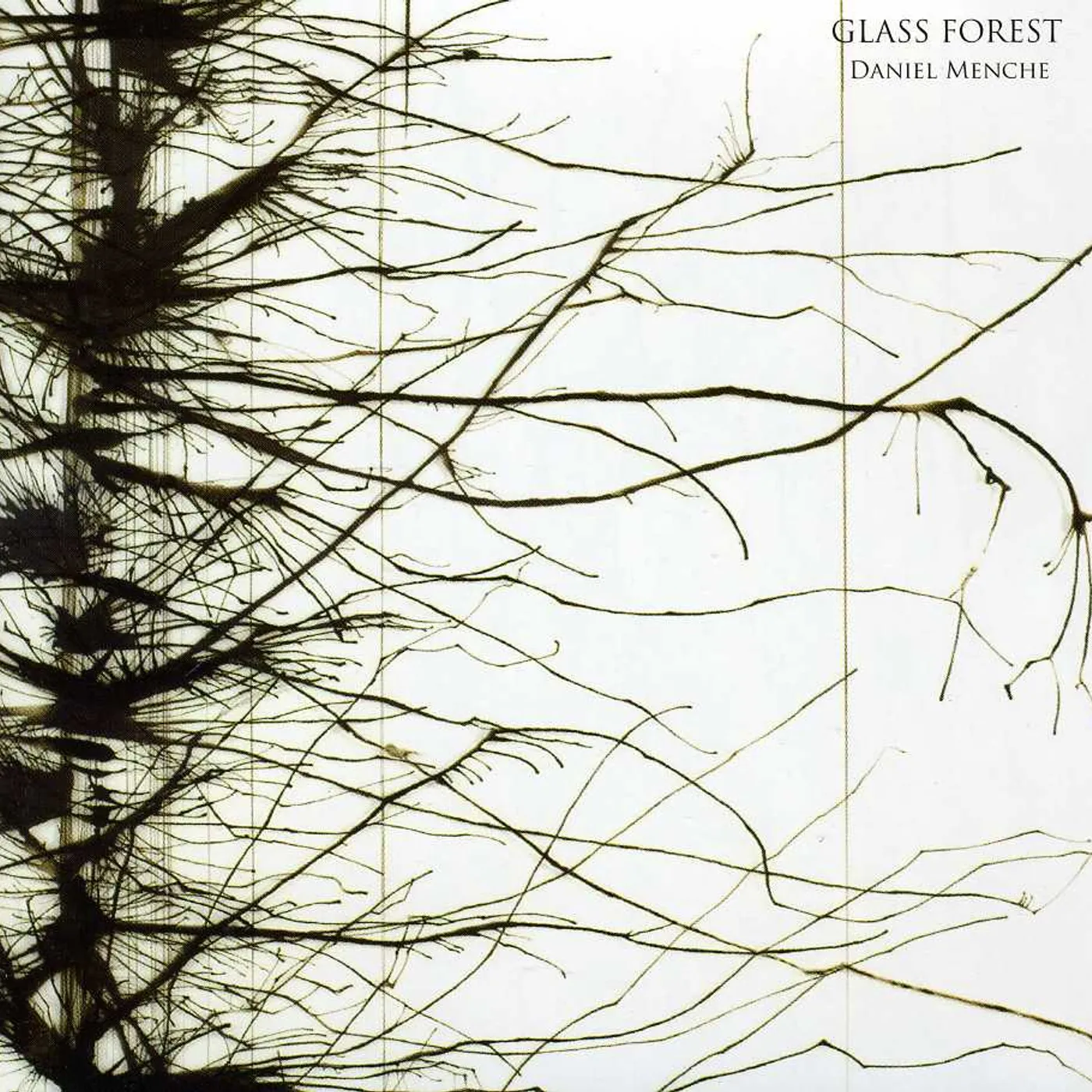 Daniel Menche CLASS FOREST CD
