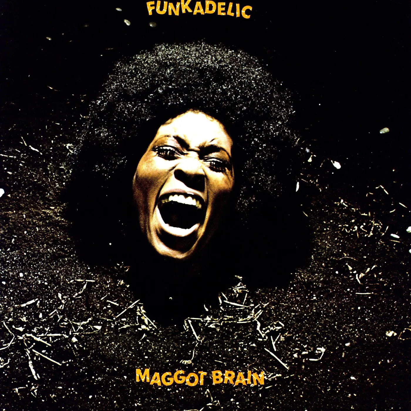 Funkadelic Maggot Brain Vinyl Record