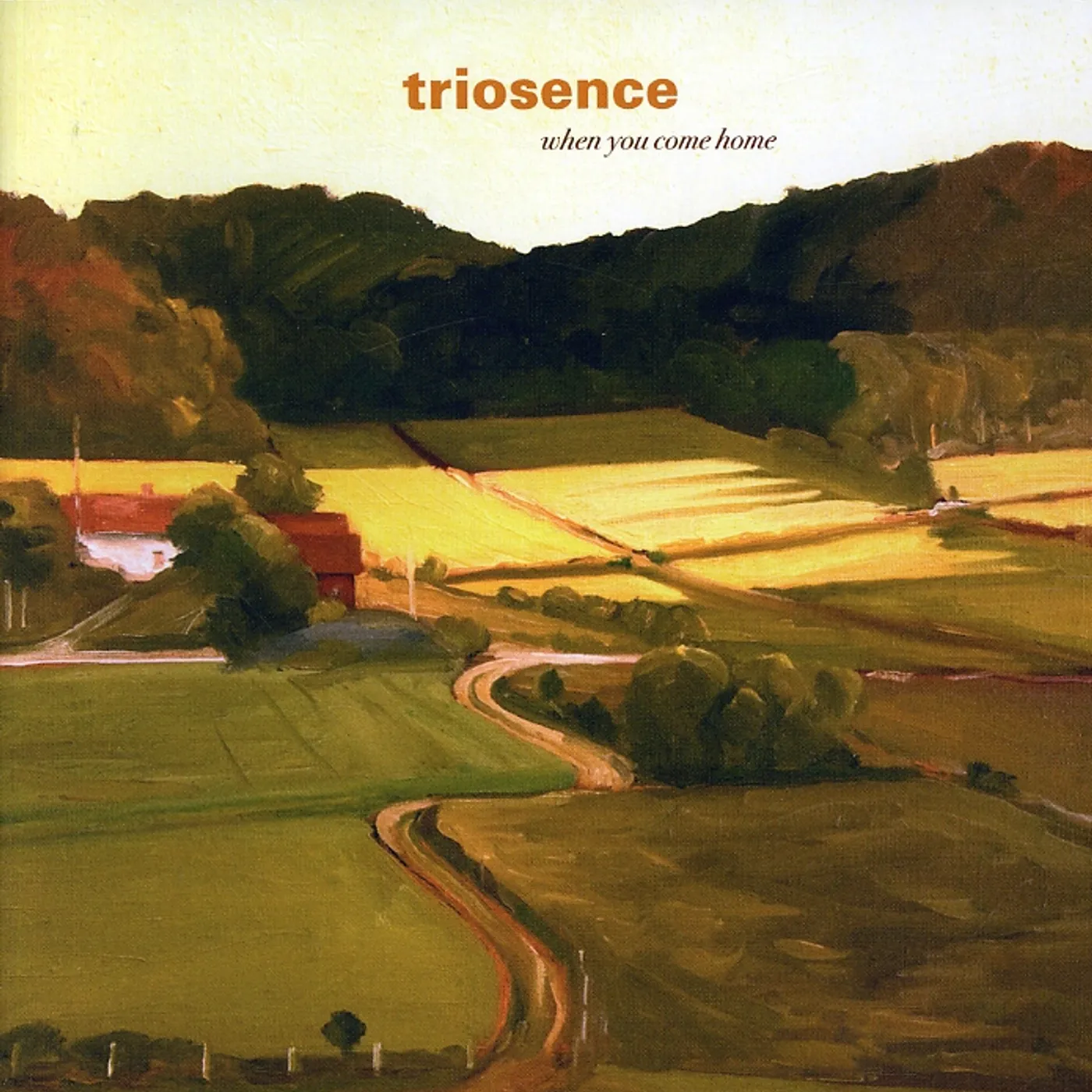 Triosence WHEN YOU COME HOME CD