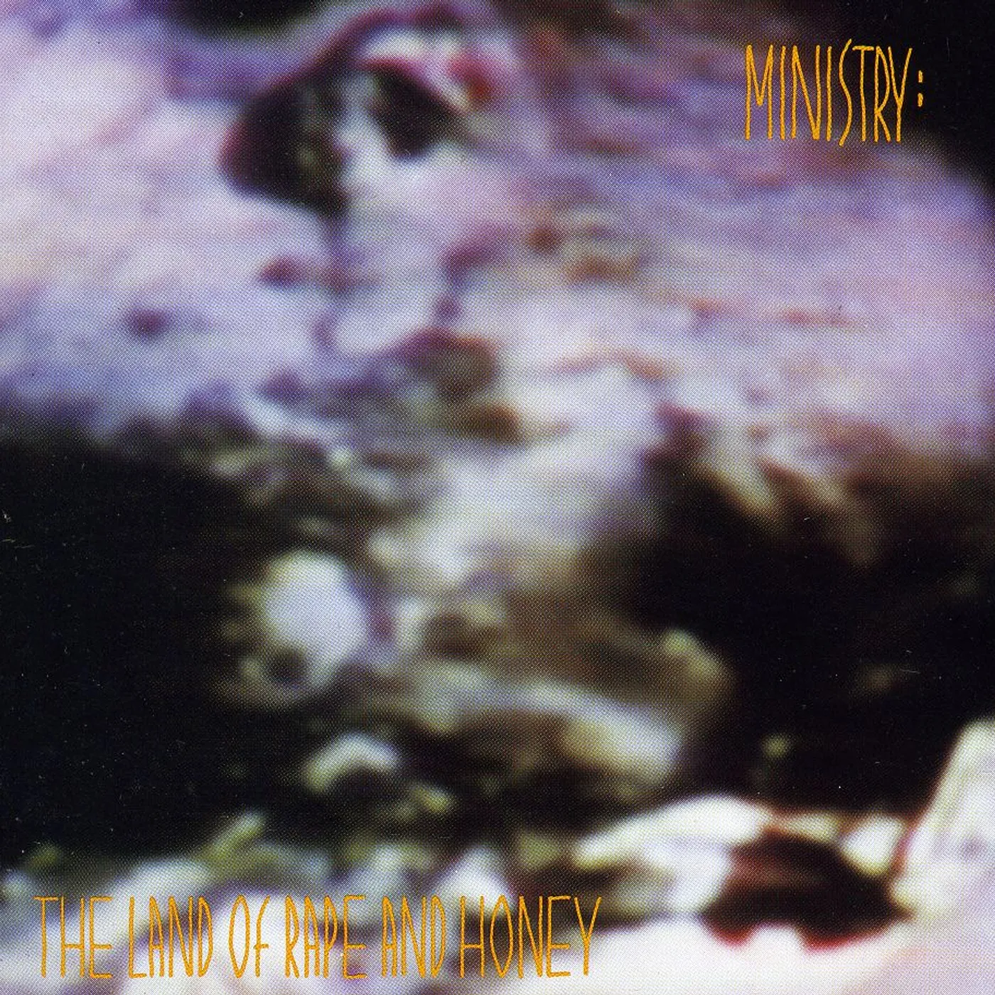 Ministry LAND OF RAPE & HONEY CD