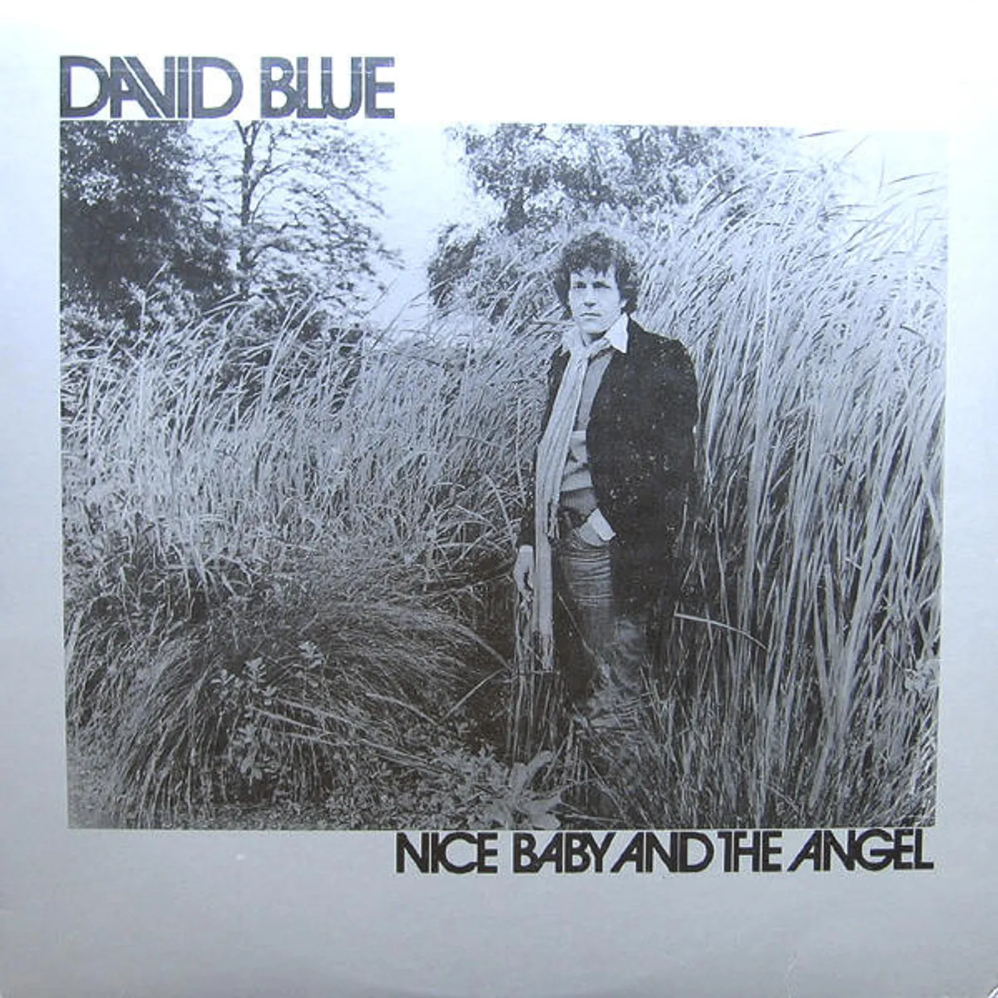David Blue NICE BABY & THE ANGEL CD