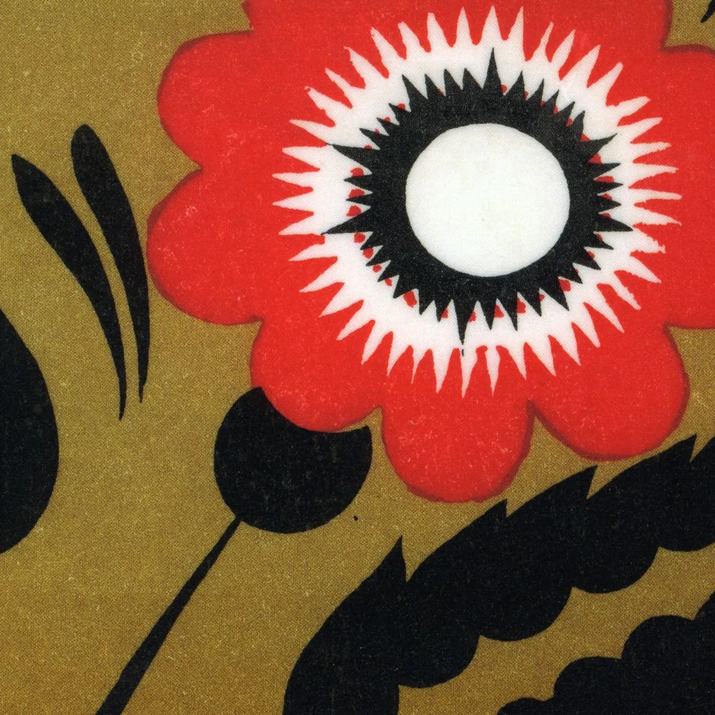 A Hawk And A Hacksaw CD