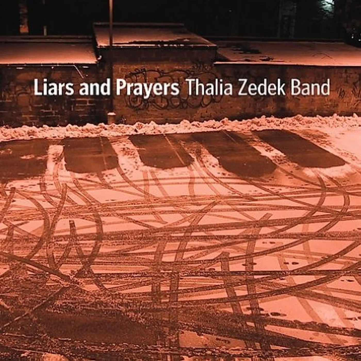 Thalia Zedek Band Liars and Prayers Vinyl Record