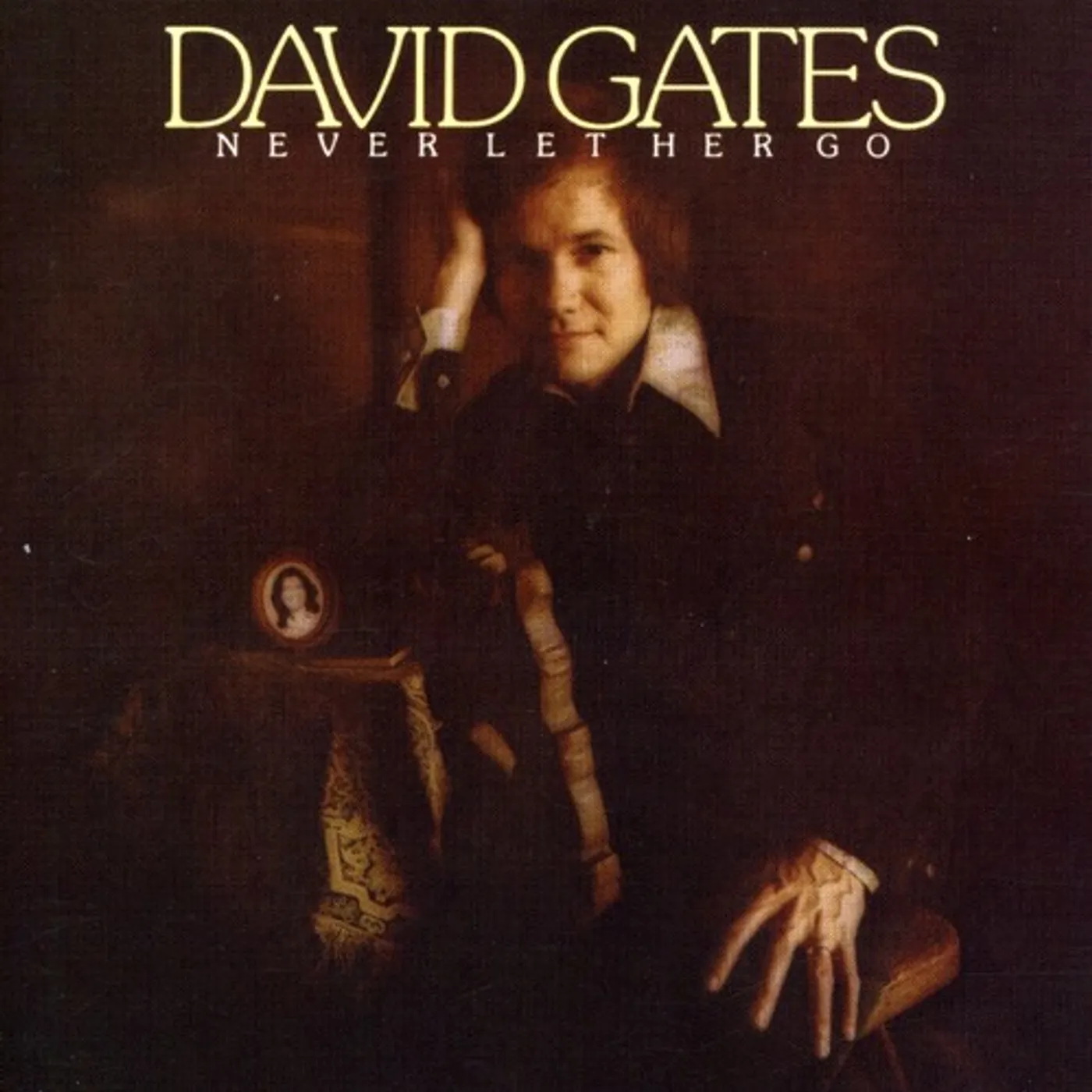 DAVID GATES NEVER LET HER GO CD