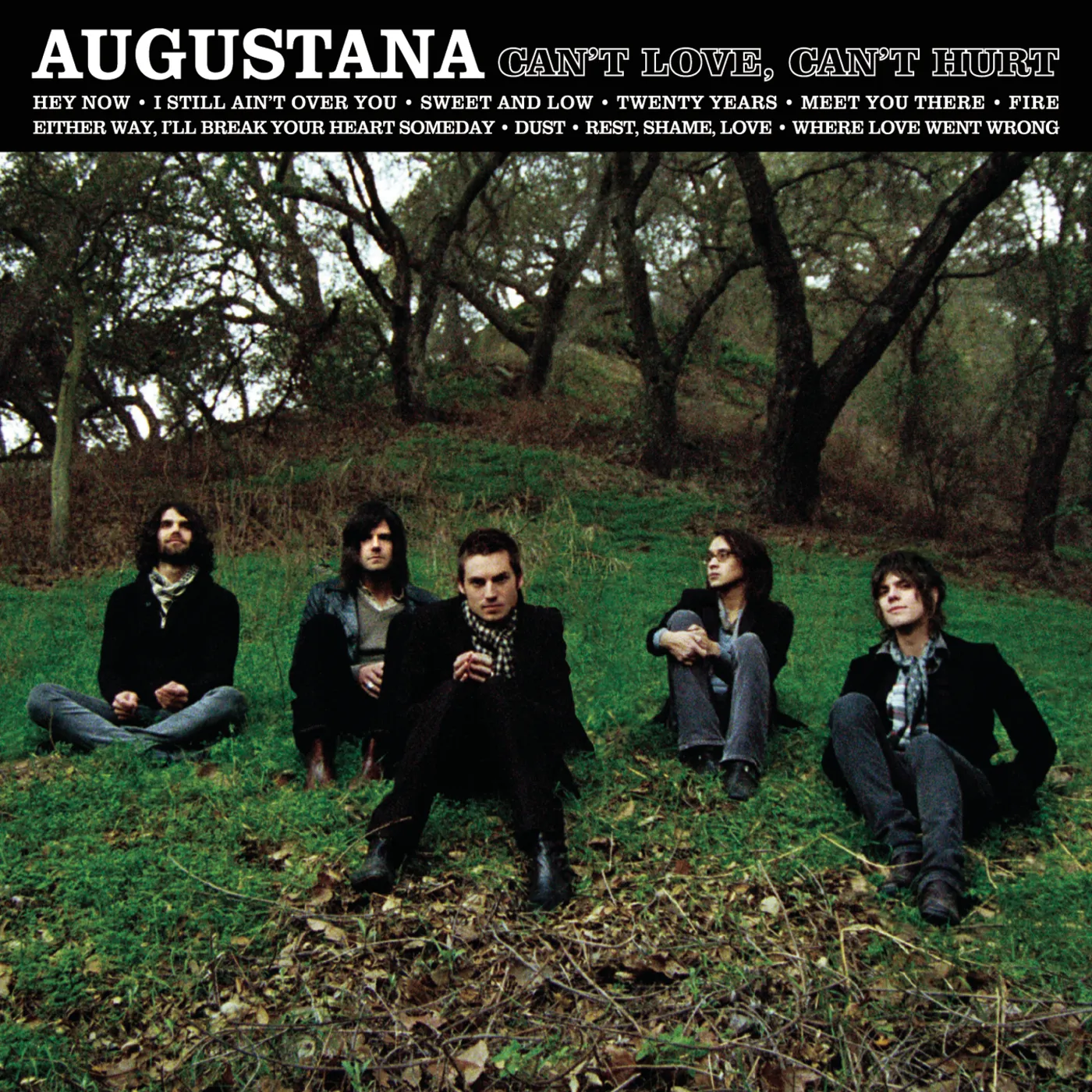 Augustana CAN'T LOVE CAN'T HURT CD