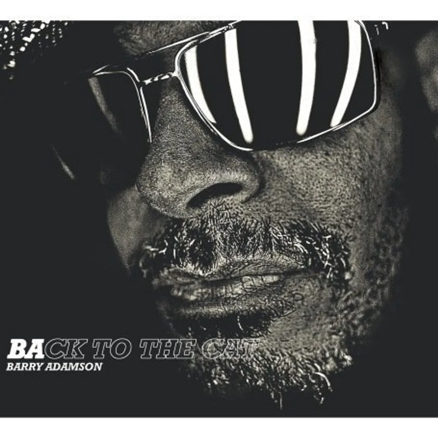 Barry Adamson Back to the Cat Vinyl Record
