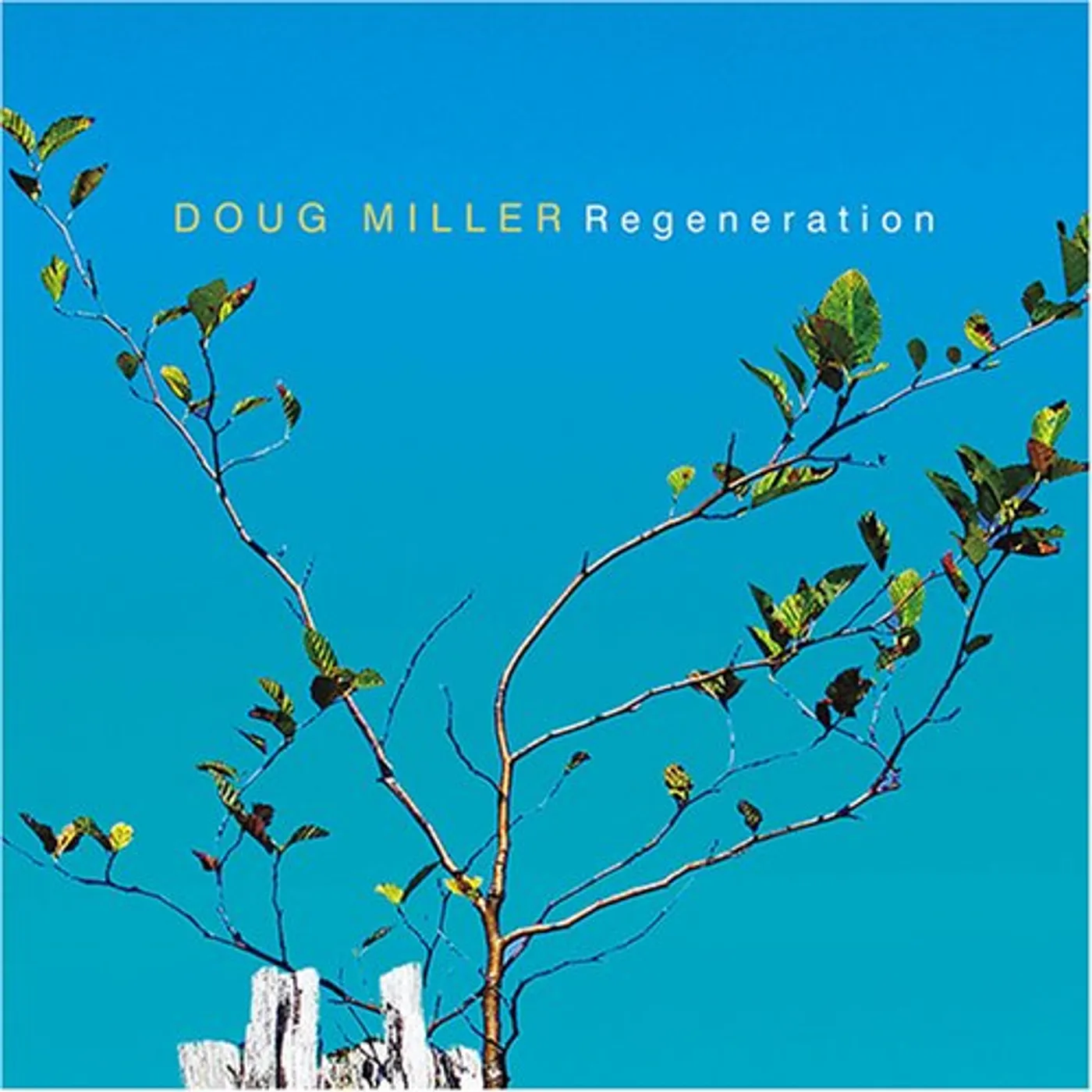 Douglas Miller REGENERATION CD