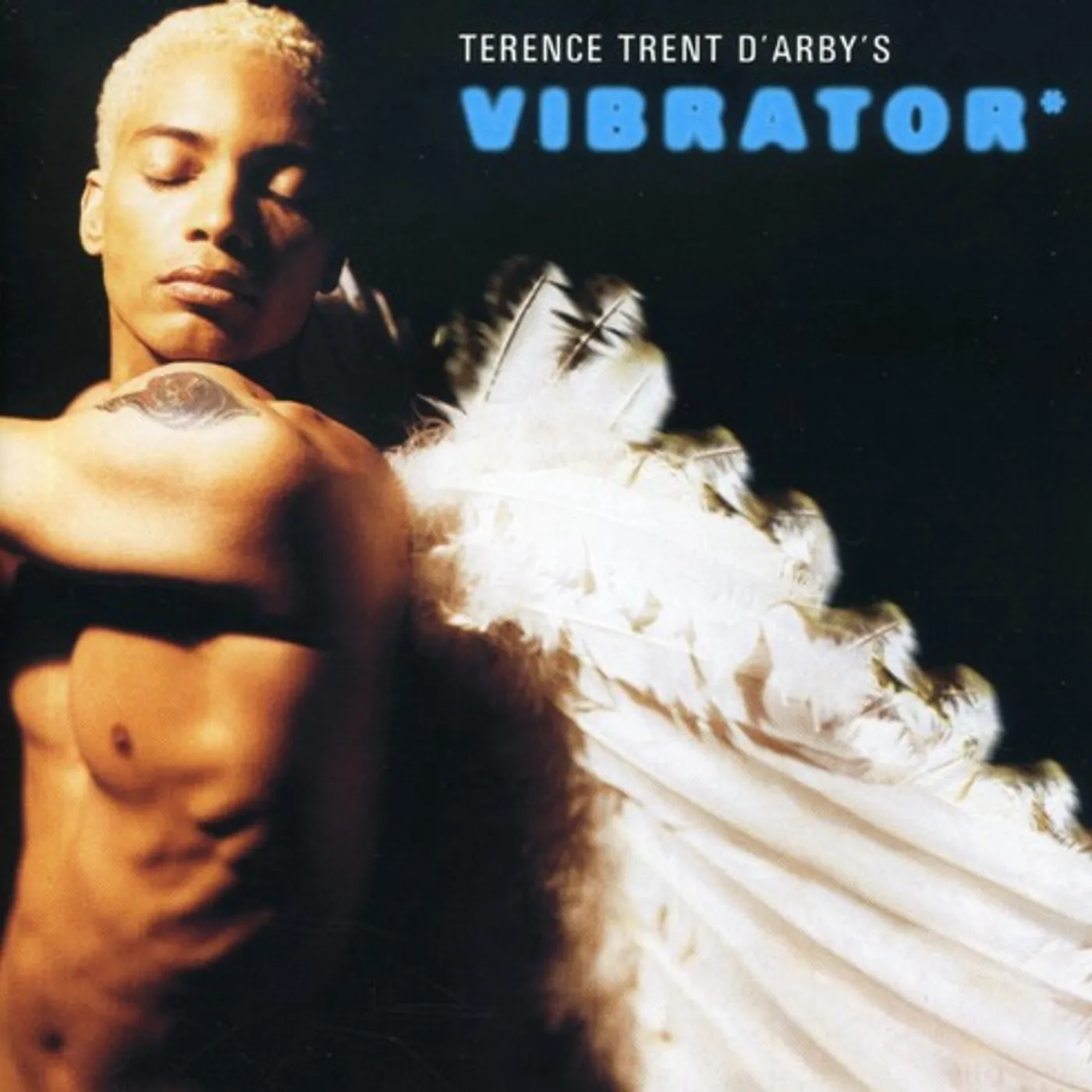 Karaoke - Terence Trent D'arby VIBRATOR CD