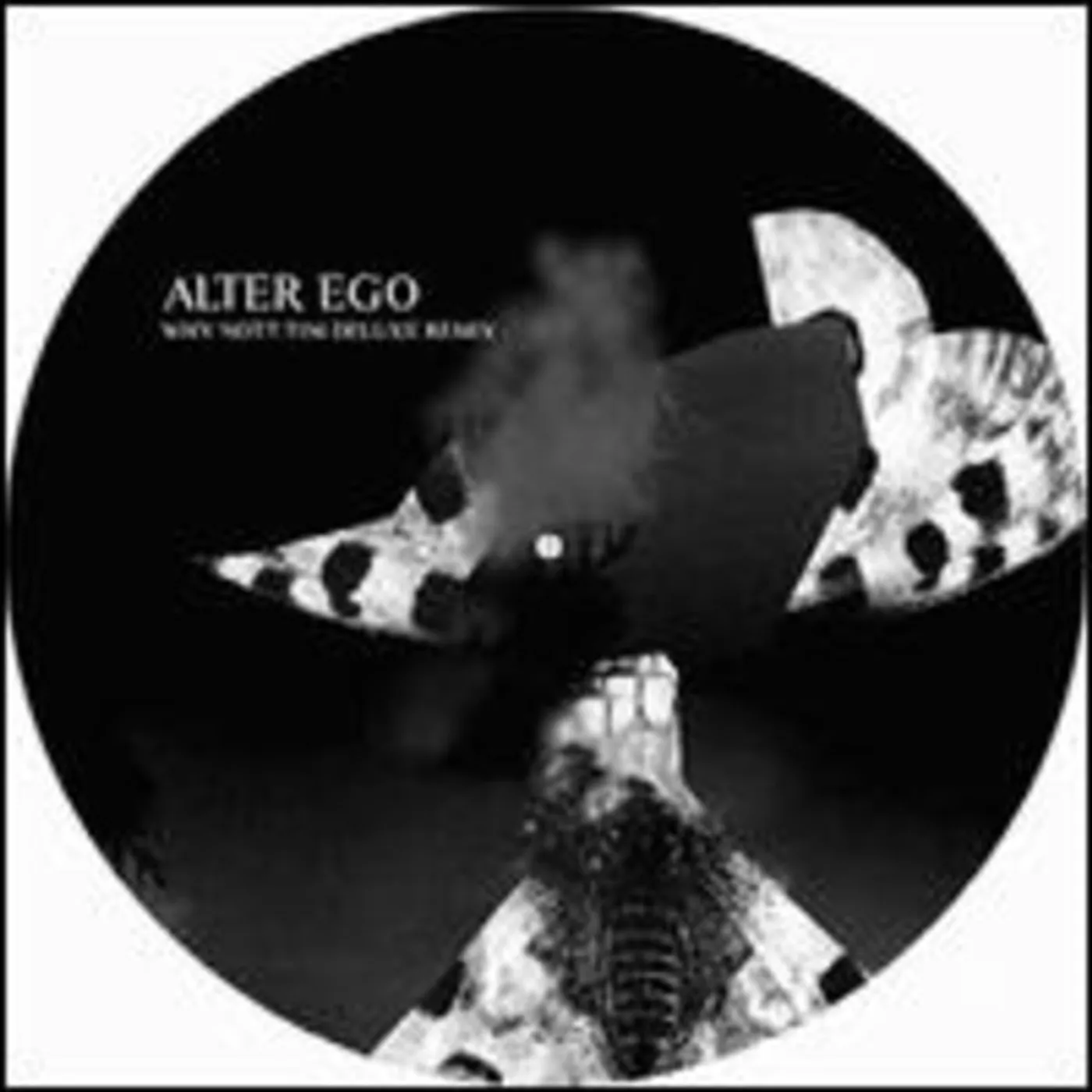 Alter Ego WHY NOT/BABY KRAUT Vinyl Record