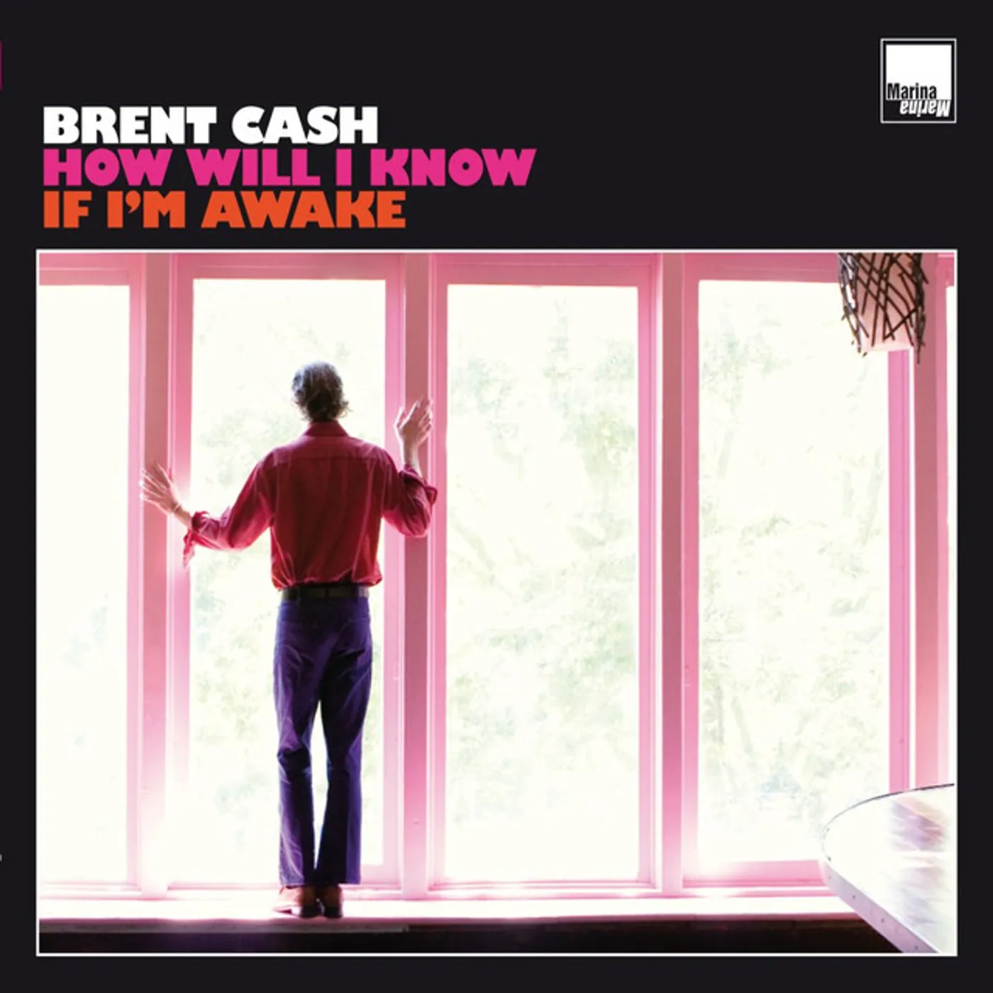Brent Cash How Will I Know If I'm Awake Vinyl Record