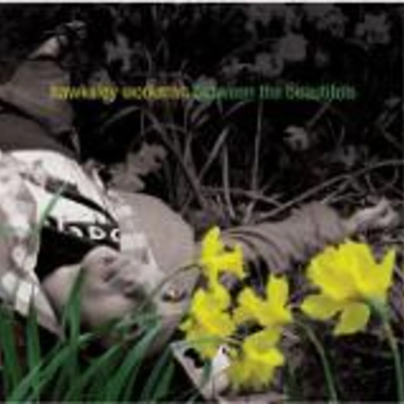 Hawksley Workman BETWEEN THE BEAUTIFULS CD