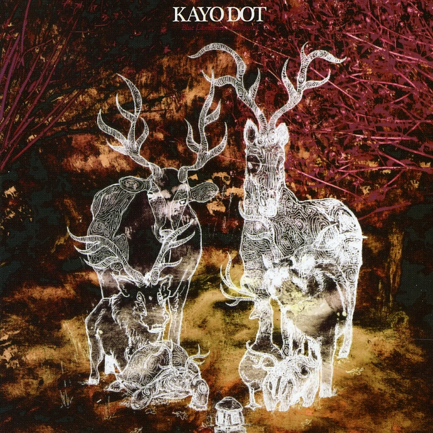 Kayo Dot BLUE LAMBENCY DOWNWARD CD