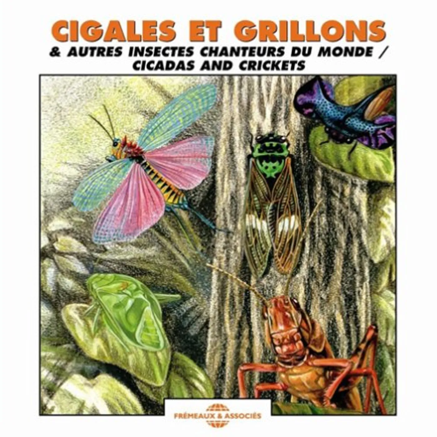 Sounds Of Nature CICADAS & CRICKETS CD