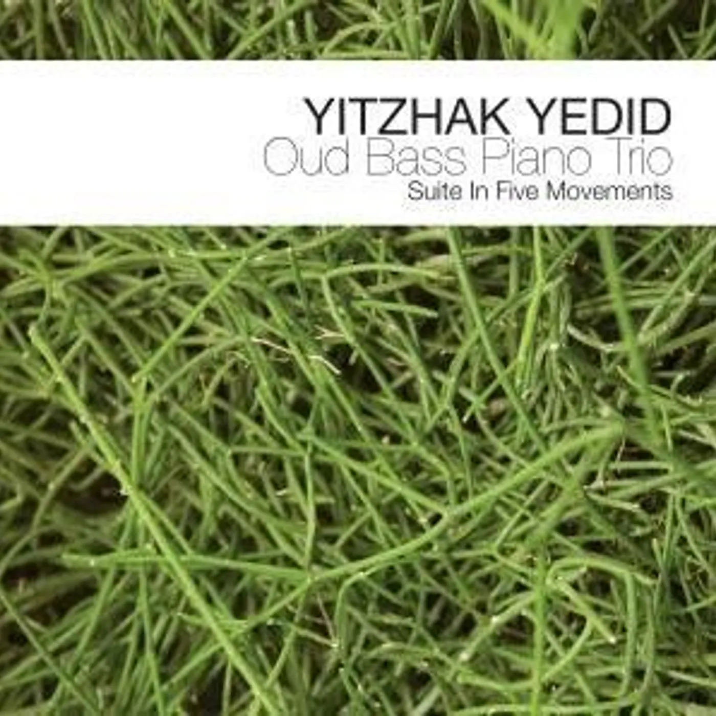 Yitzhak Yedid OUD BASS PIANO TRIO: SUITE IN FIVE MOVEMENTS CD