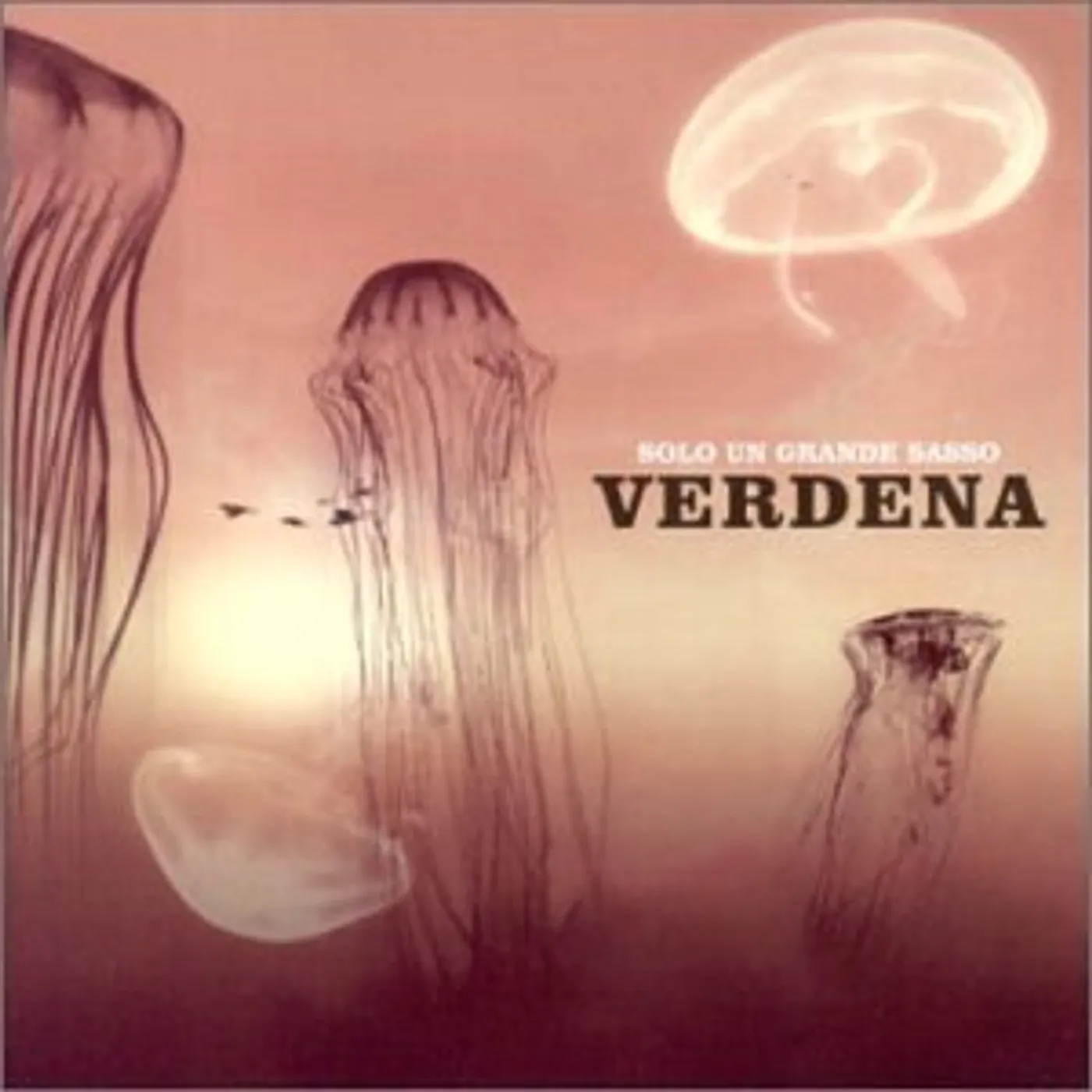 Verdena SOLO UN GRANDE SASSO CD