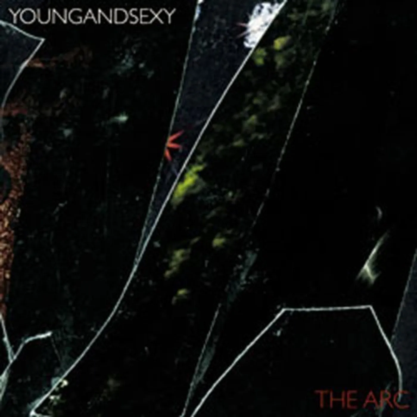 Young and Sexy ARC Vinyl Record