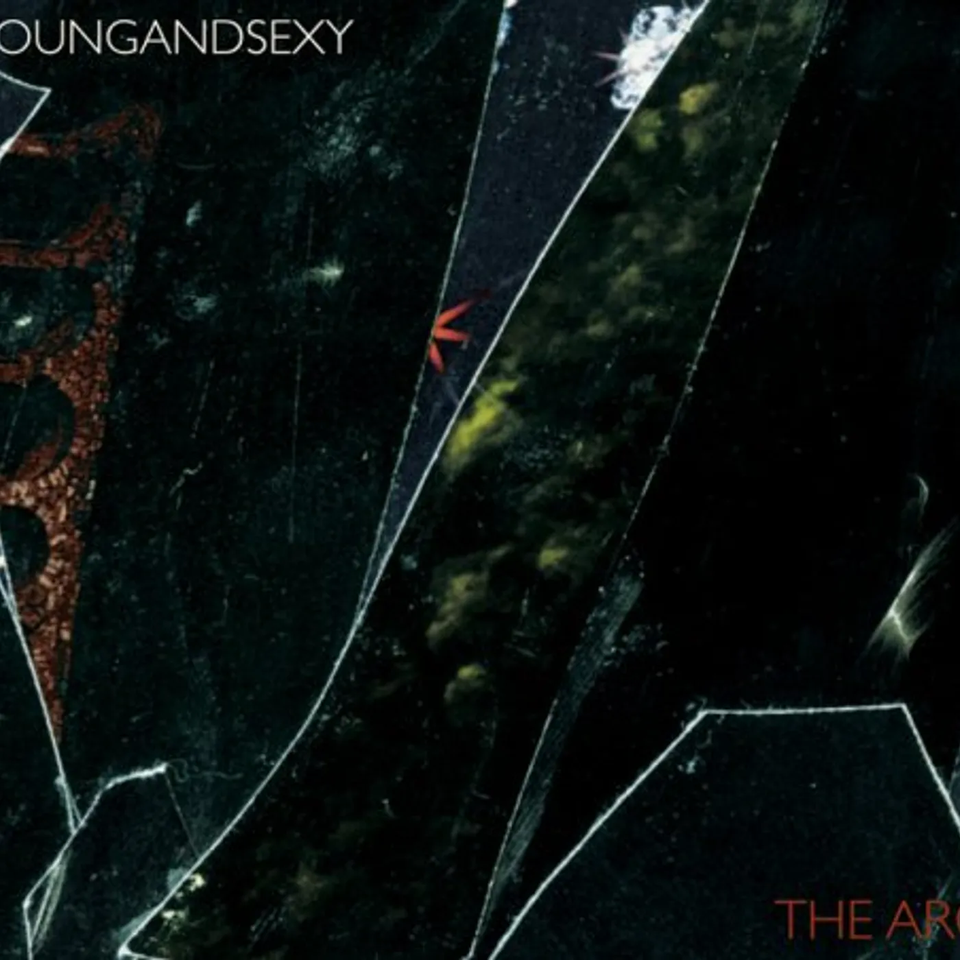 Young and Sexy ARC CD