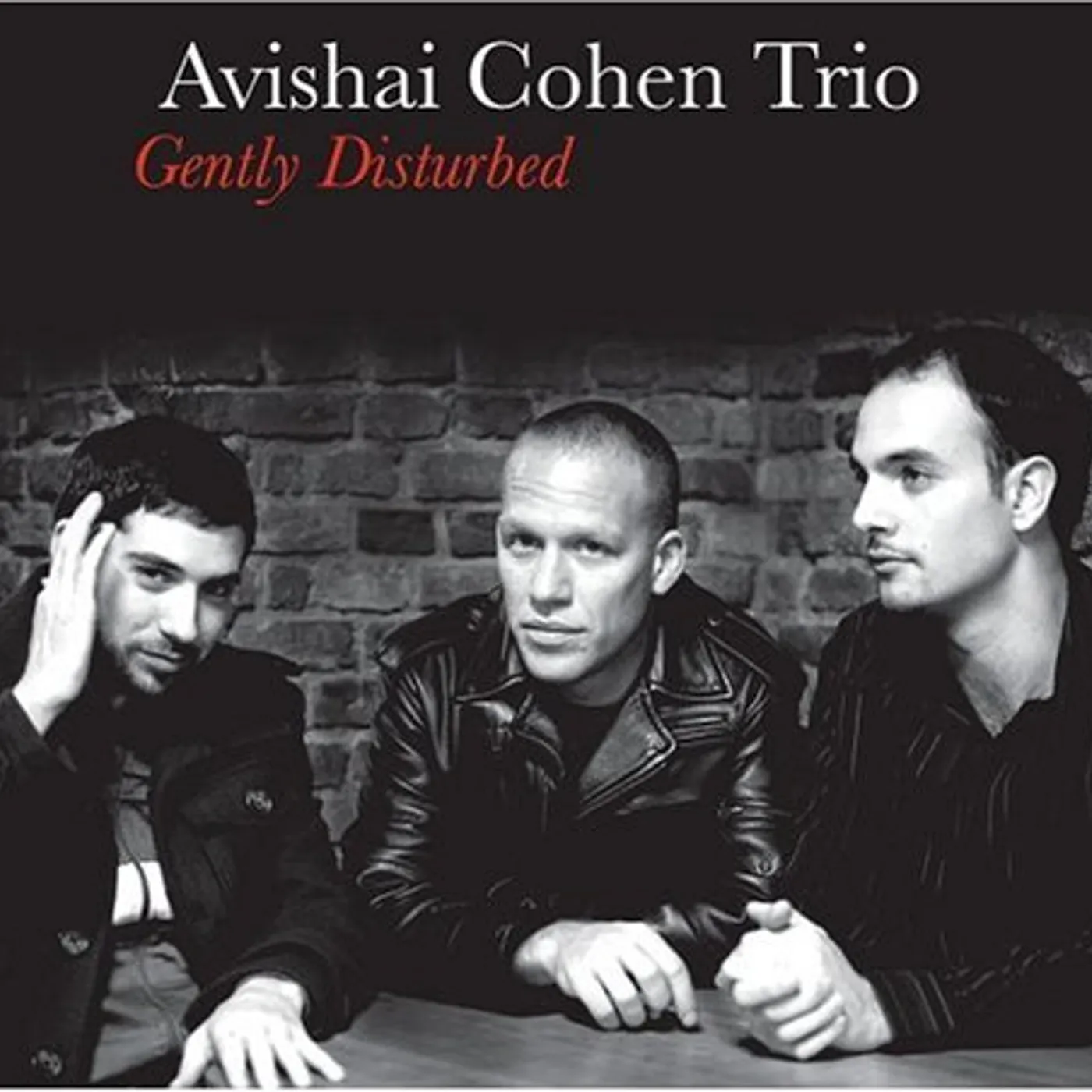 Avishai Cohen GENTLY DISTURBED CD