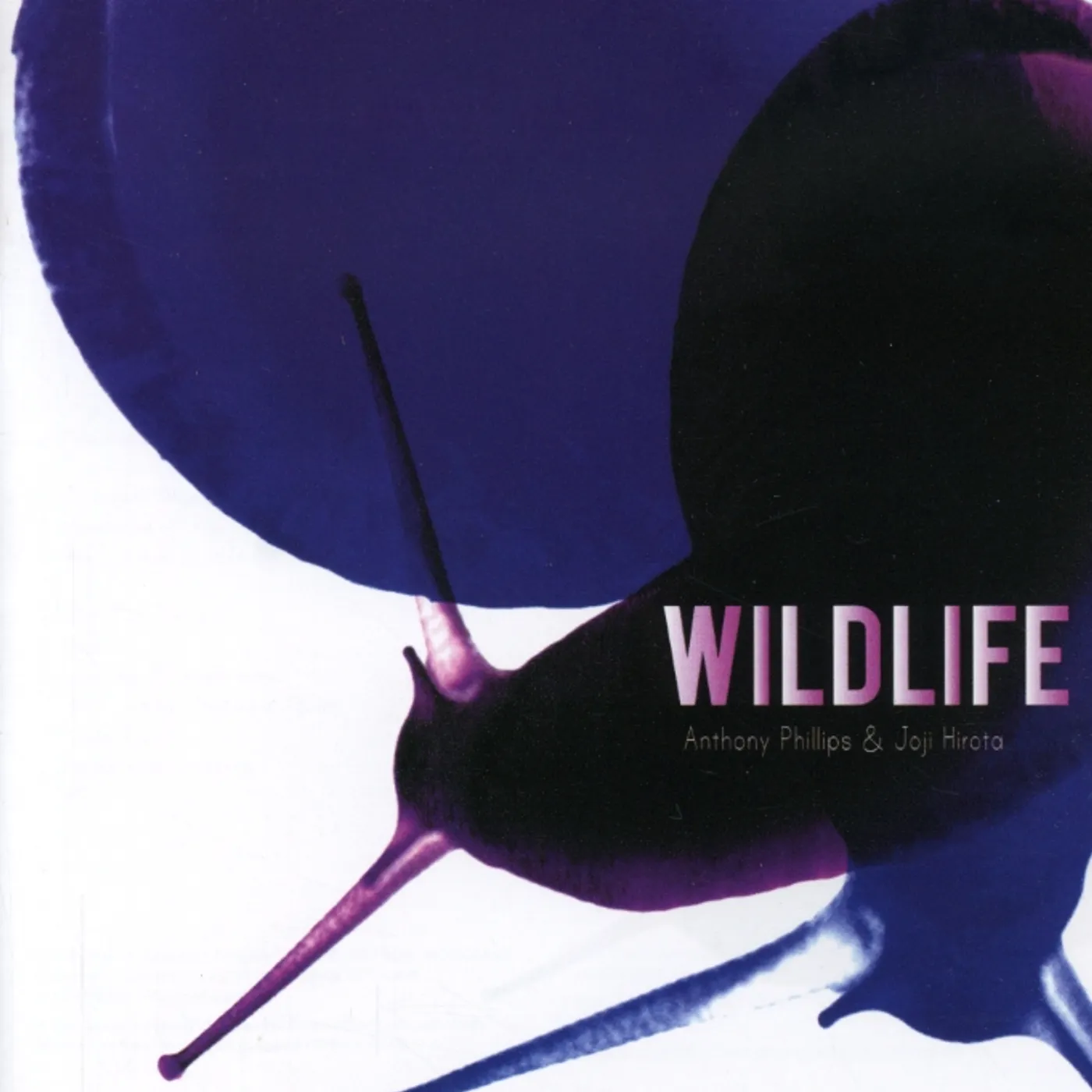 Anthony Phillips WILDLIFE CD