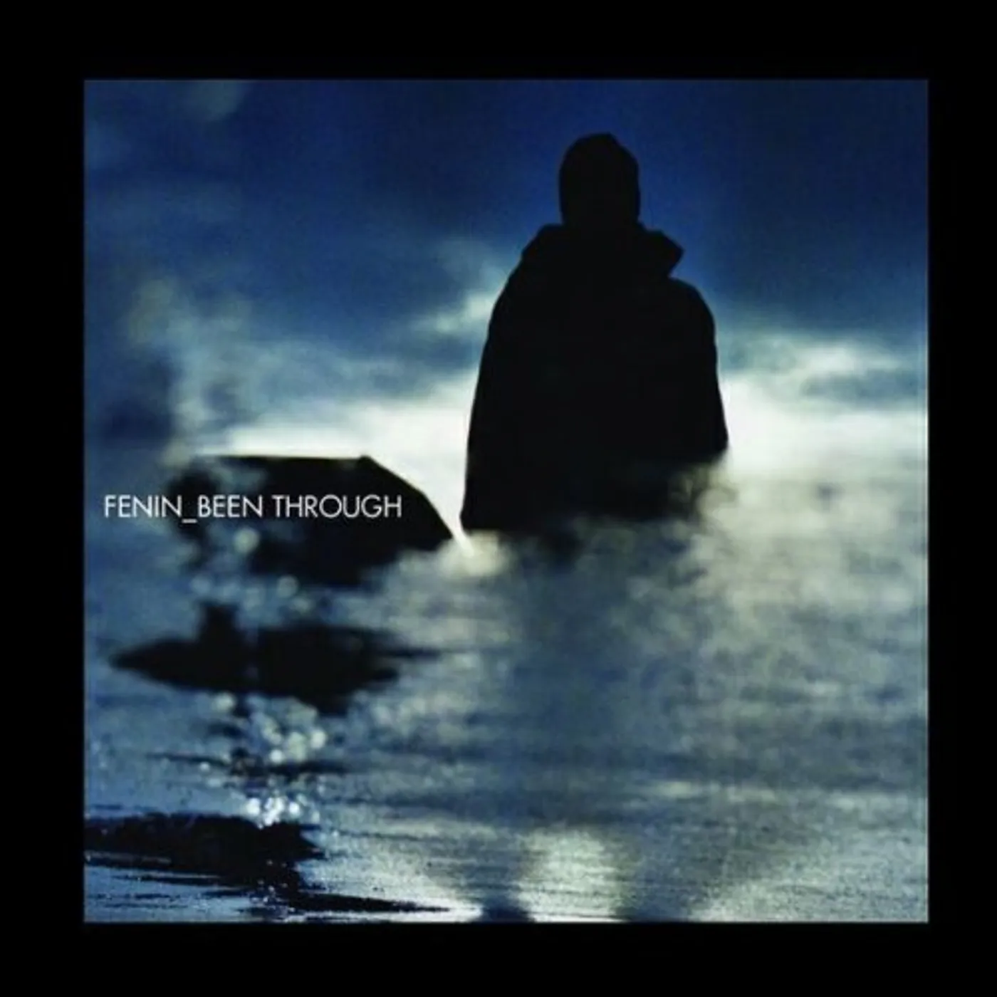 Fenin BEEN THROUGH CD