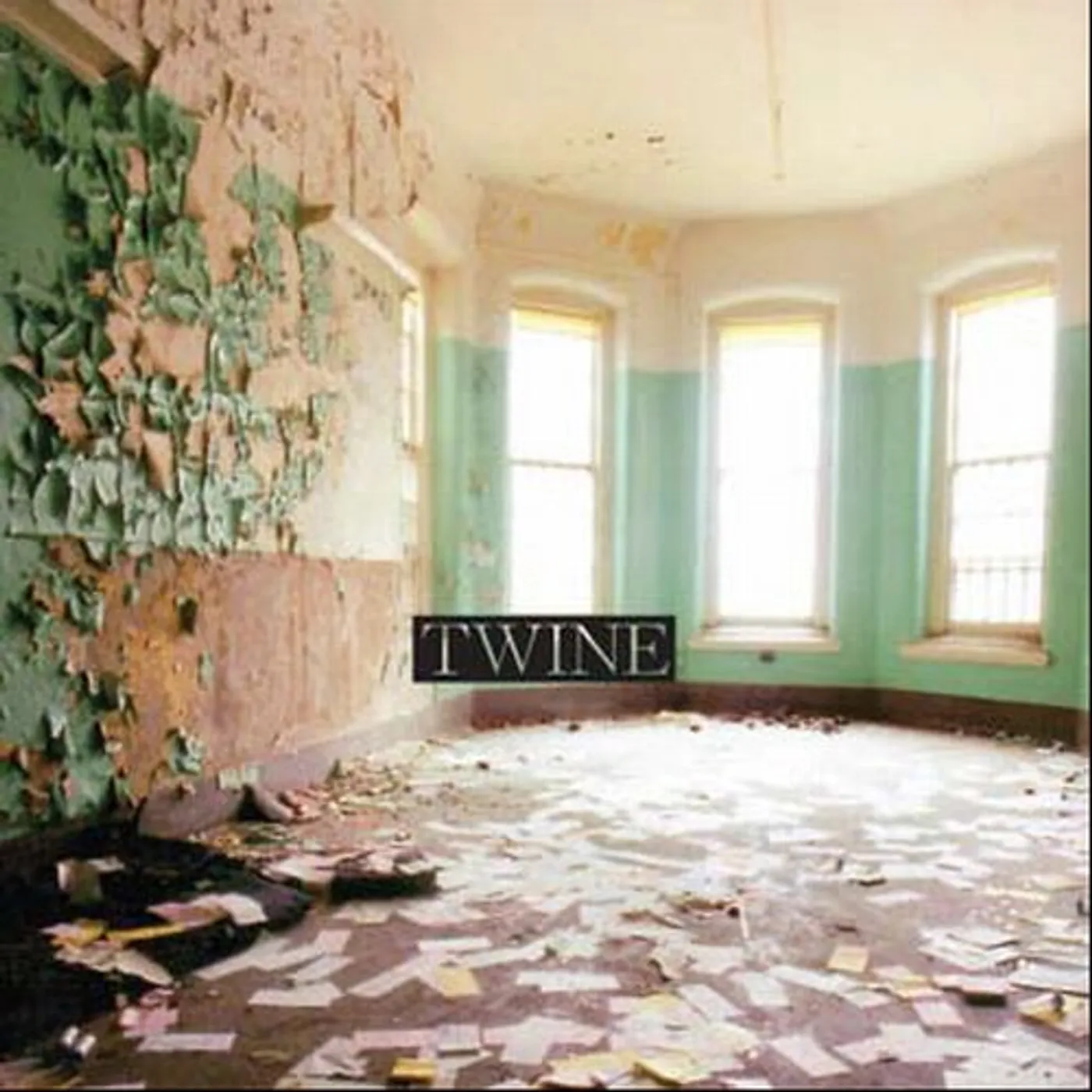 Twine VIOLETS CD